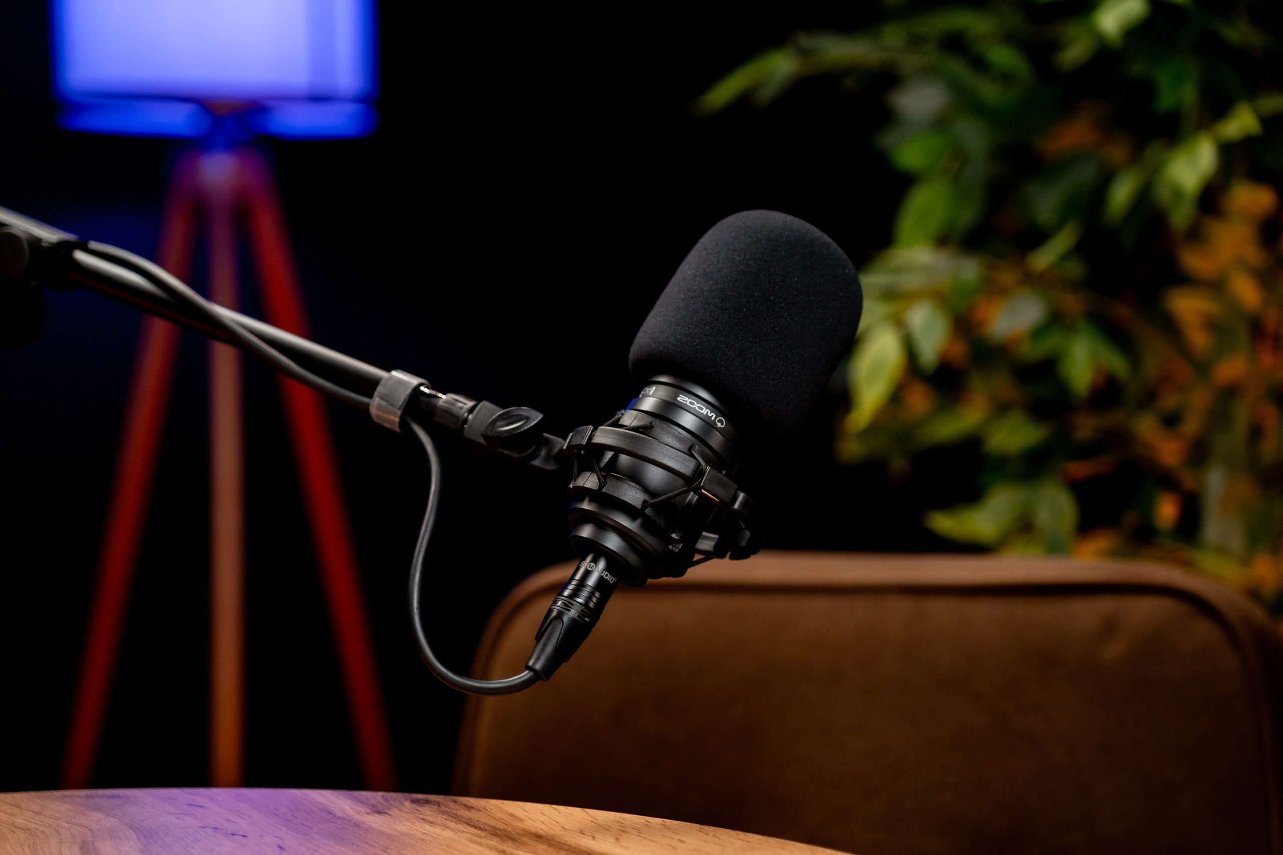 BLACK. Подкасты и прямые эфиры Сочи