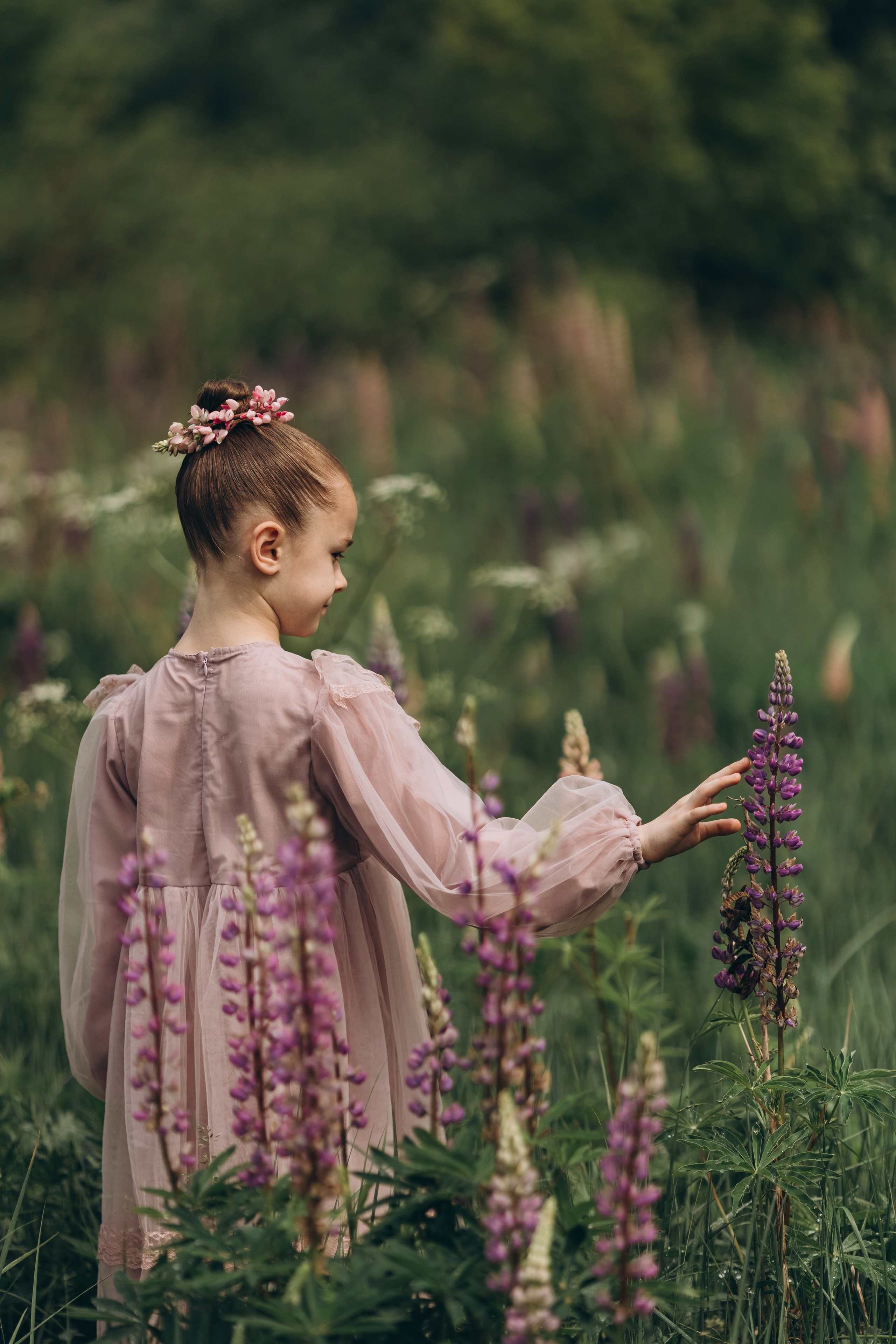 В люпинах. Фотограф Людмила Оюн