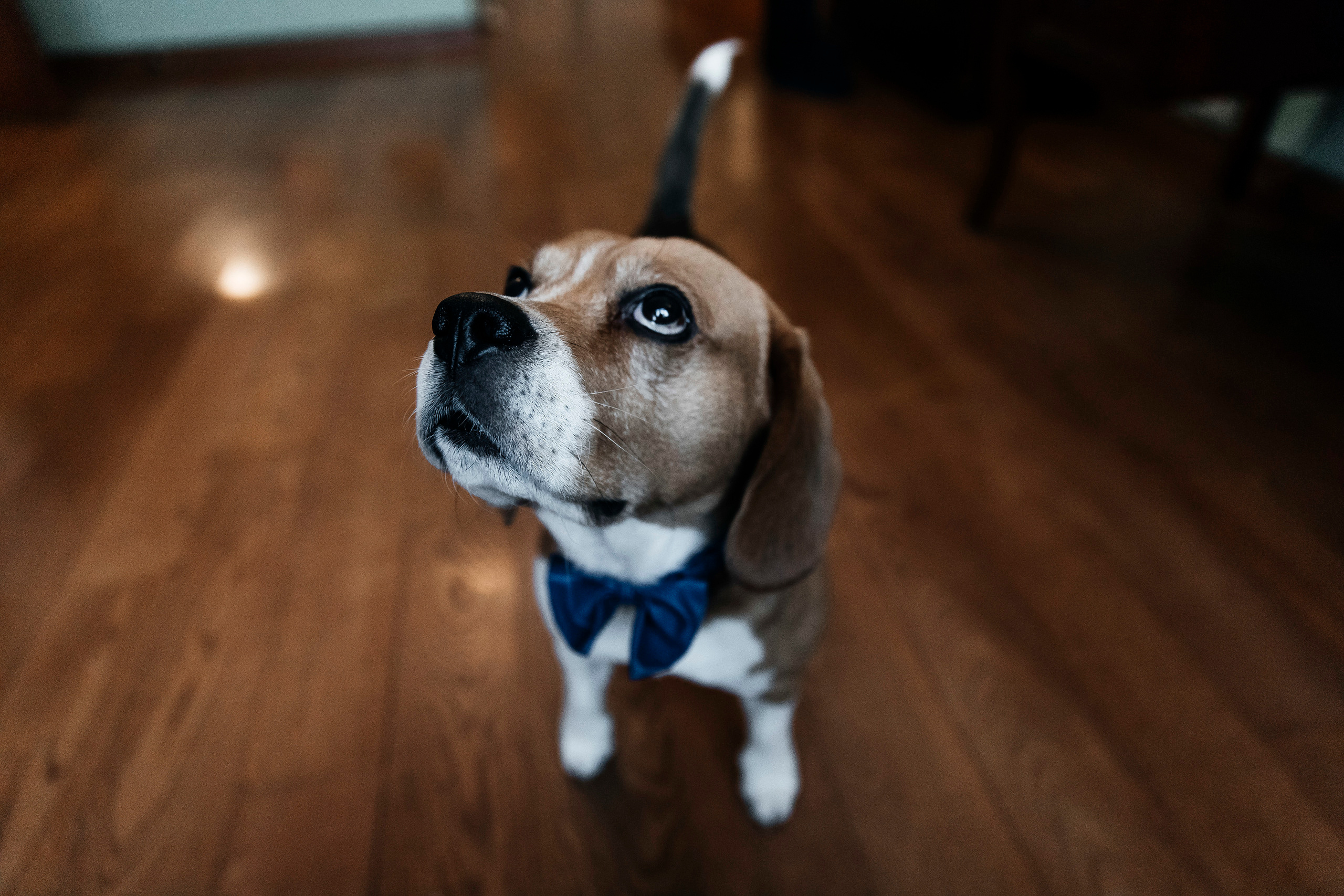 Don’t be shy. Свадебный и репортажный фотограф