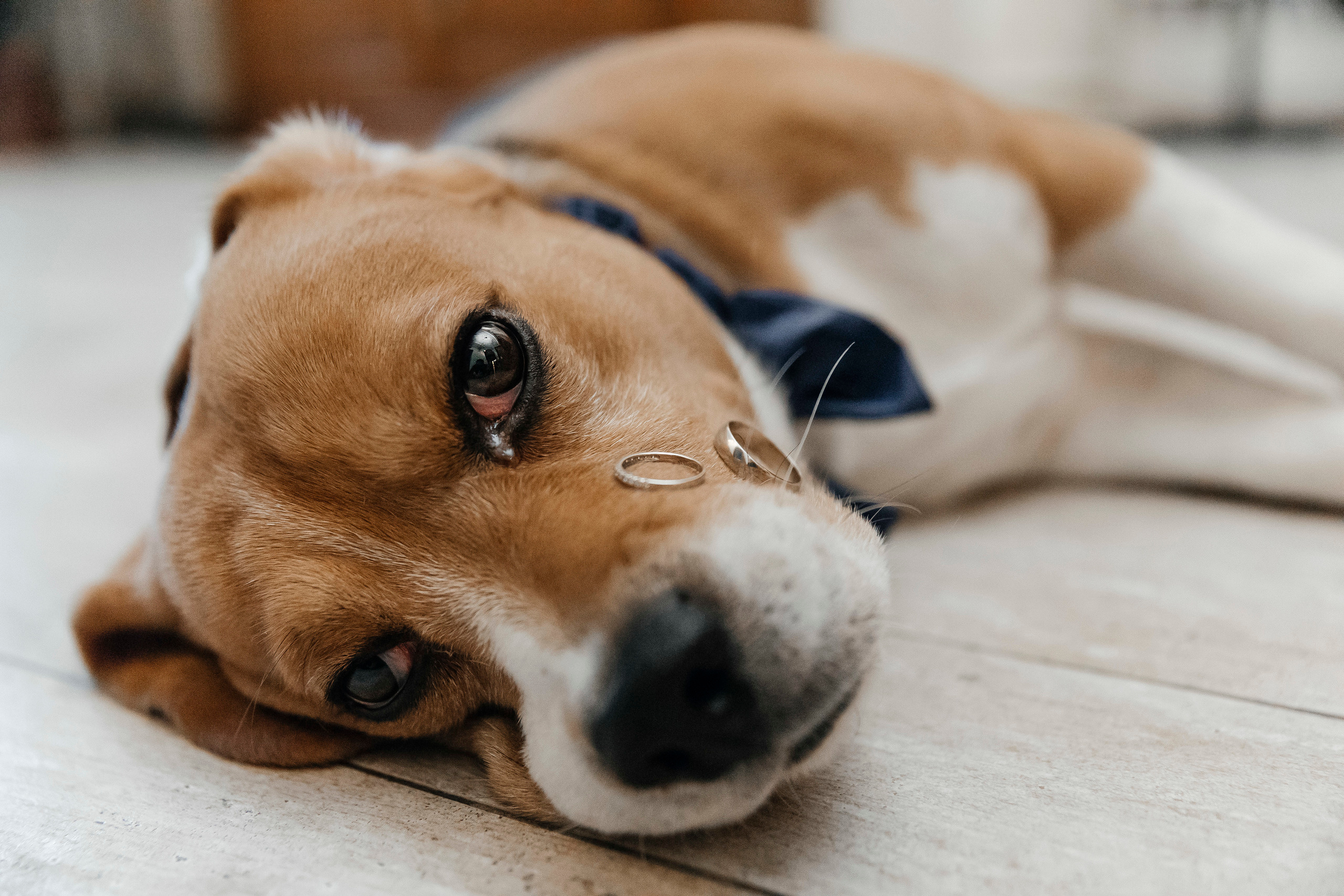 Don’t be shy. Свадебный и репортажный фотограф