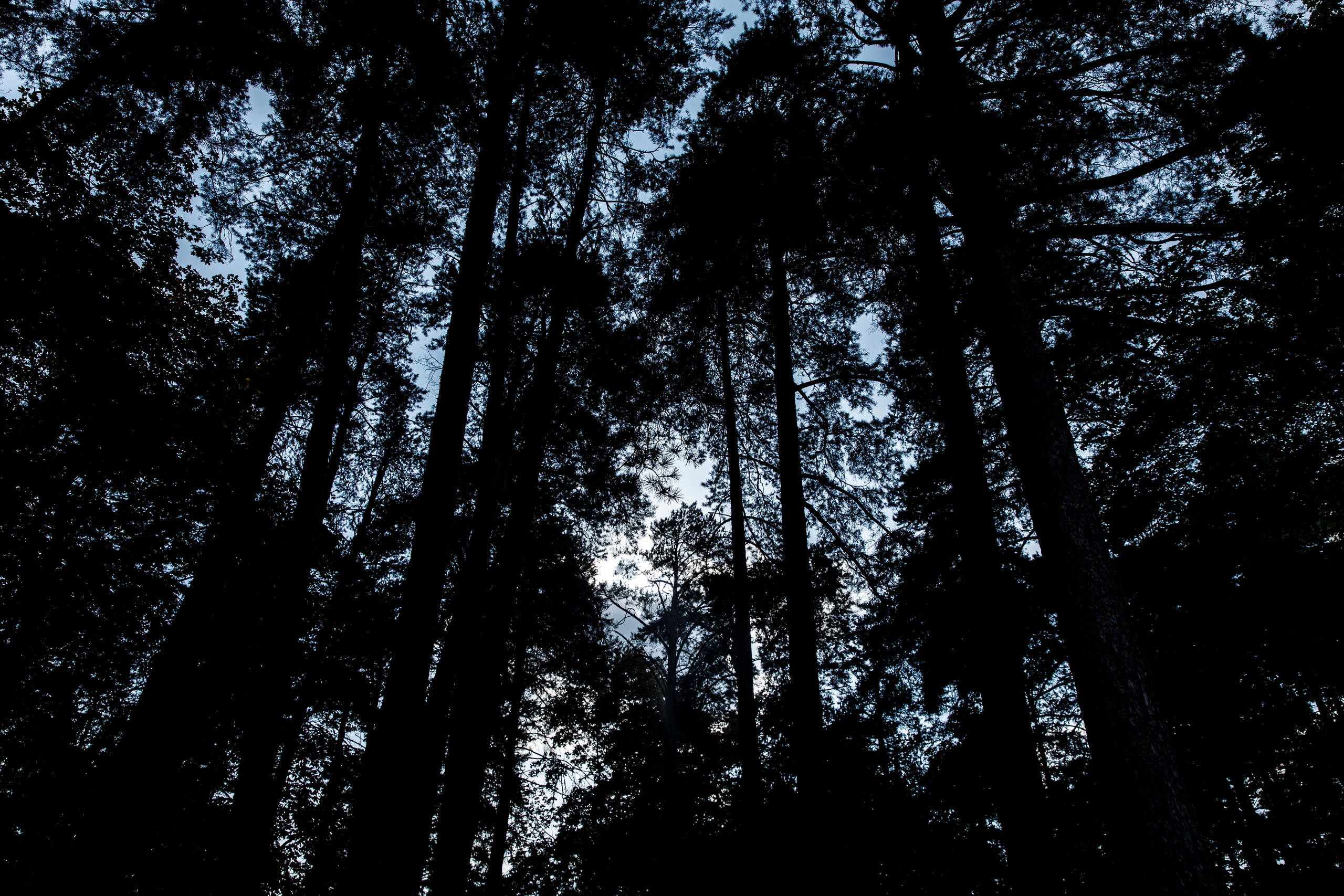 Watch out!. Свадебный и репортажный фотограф