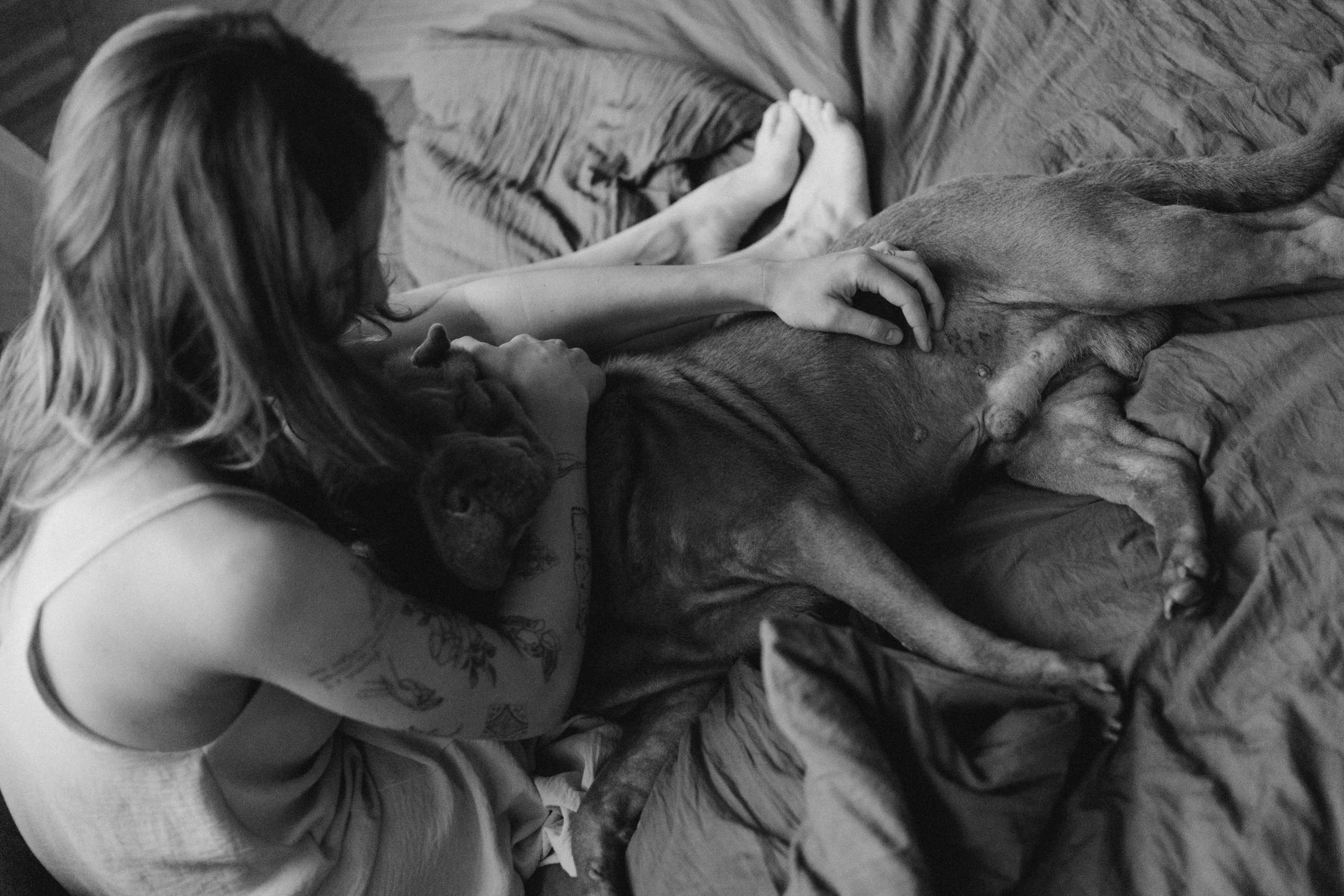 Ульяна и Вагнер. Фотограф — Анималист | Санкт-Петербург