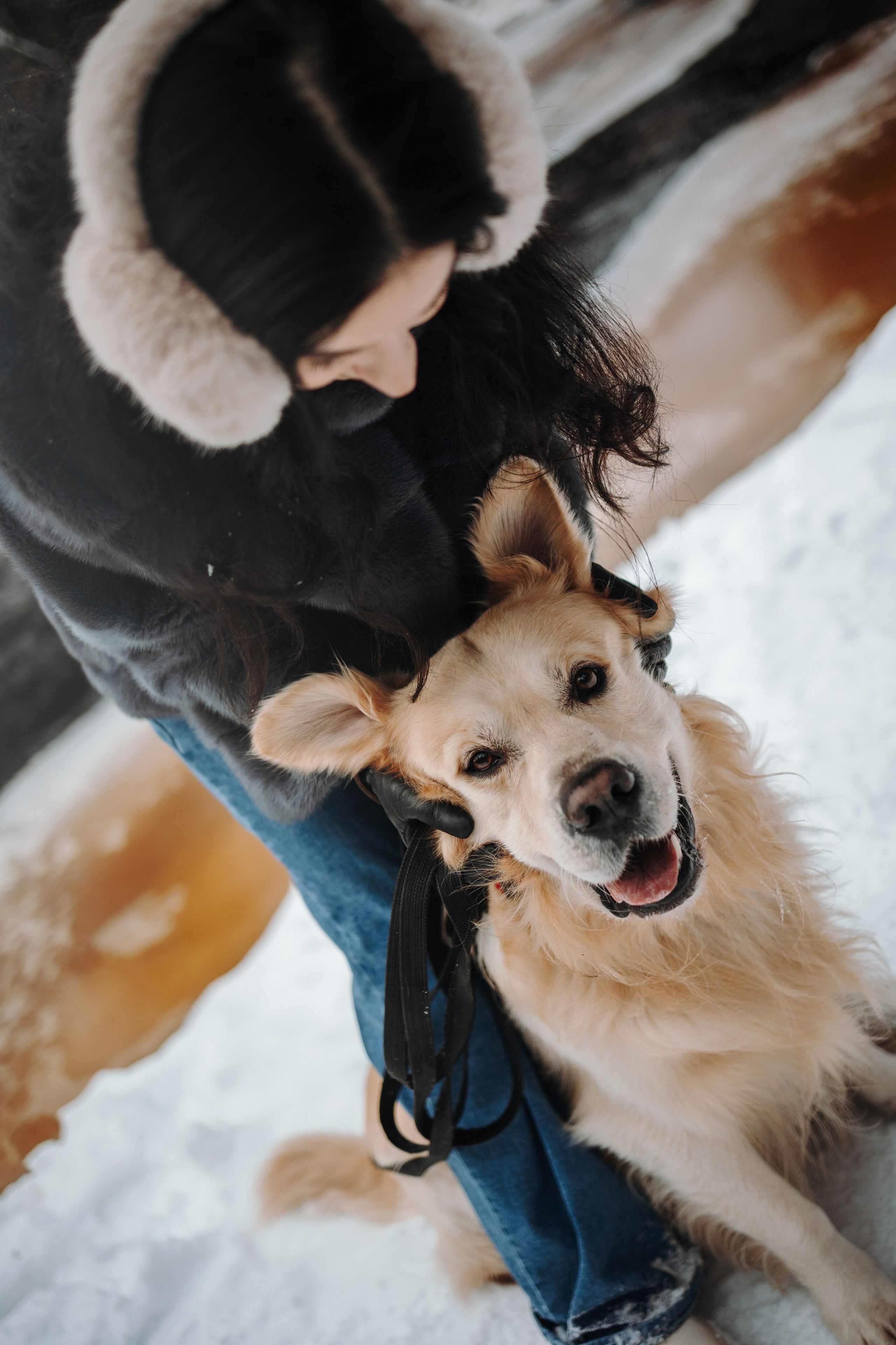 Вика и Лёва. Фотограф — Анималист | Санкт-Петербург