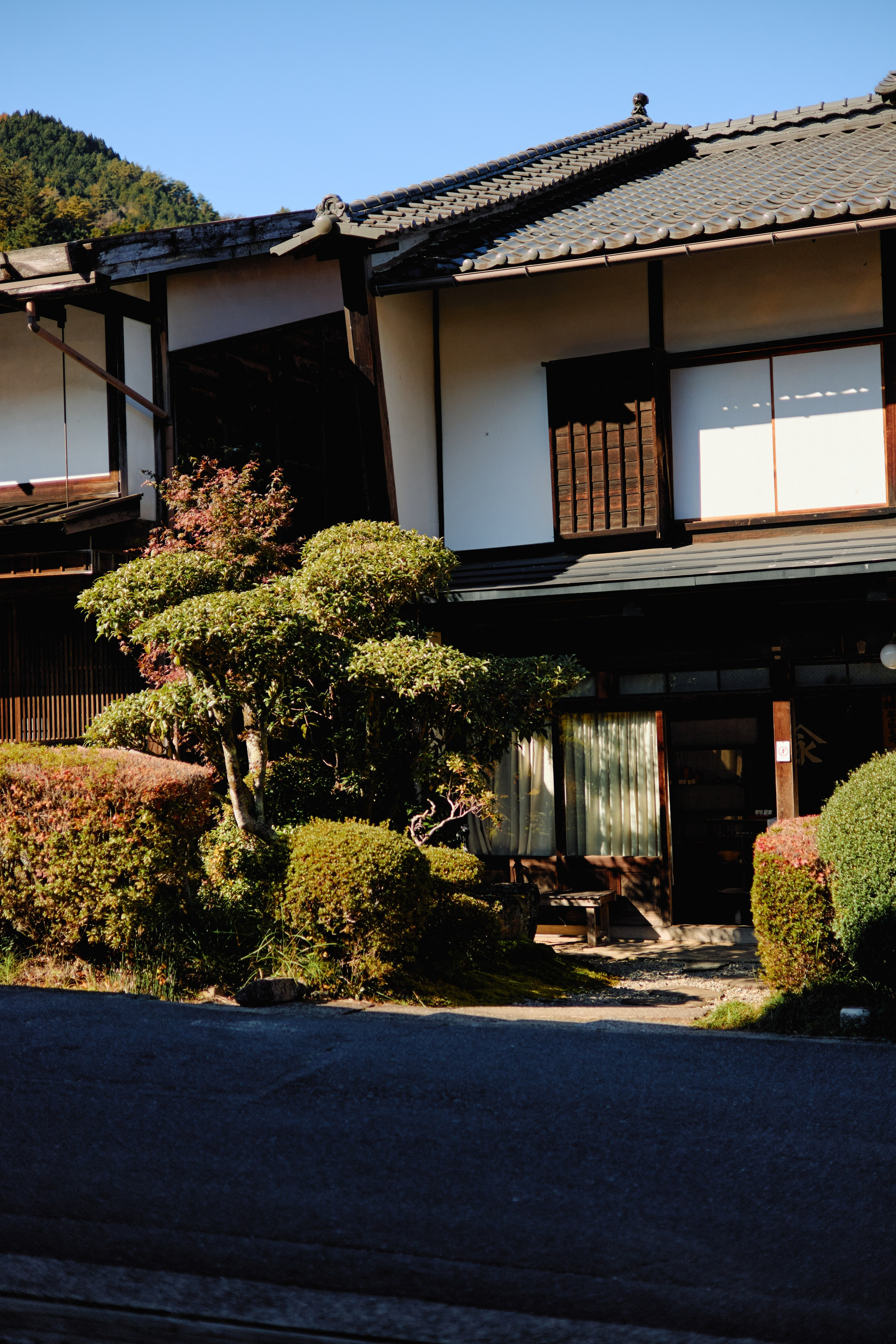 Япония. Профессиональный Фотограф во Владимире, в Москве и в Суздале — Полина Романычева