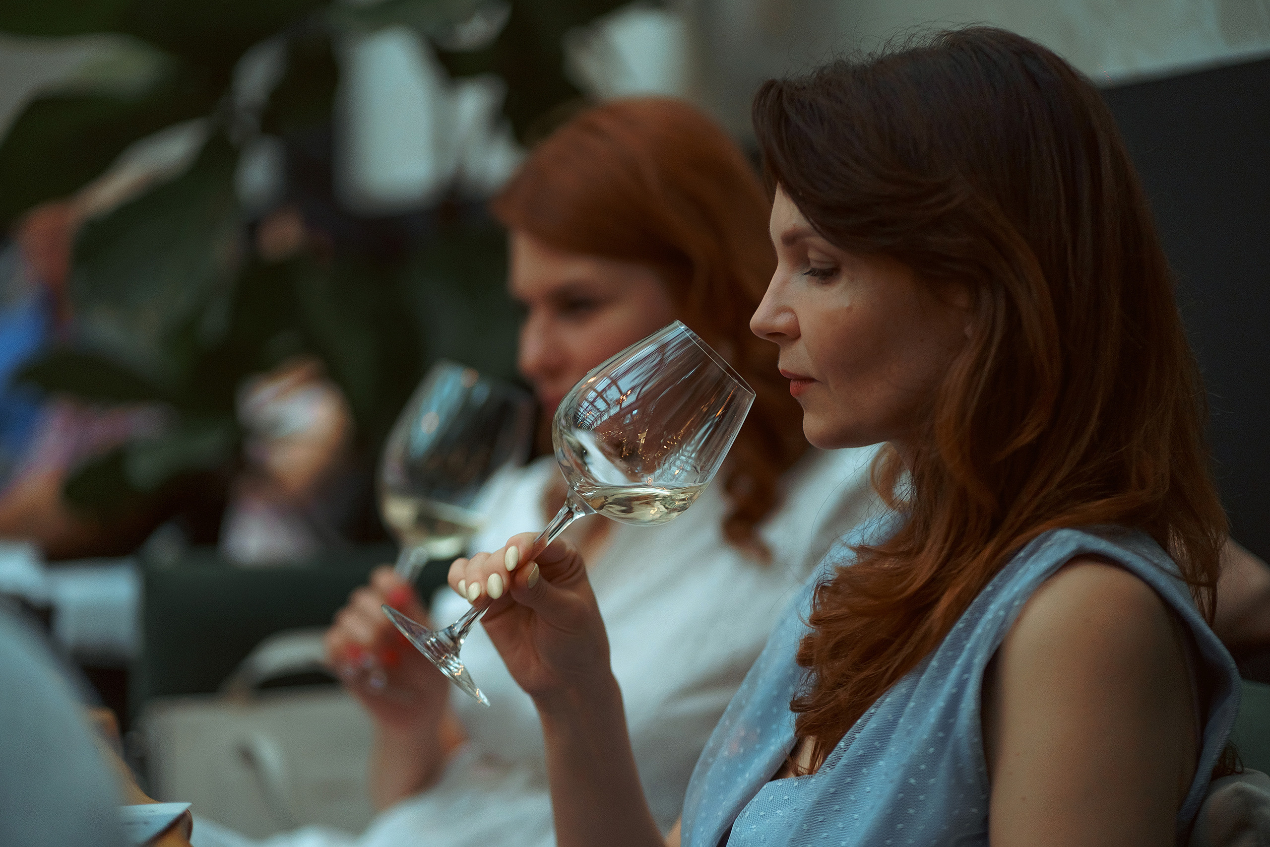 Вечер с виноделом. Усадьба Александровская. Фотограф Николай Владимиров