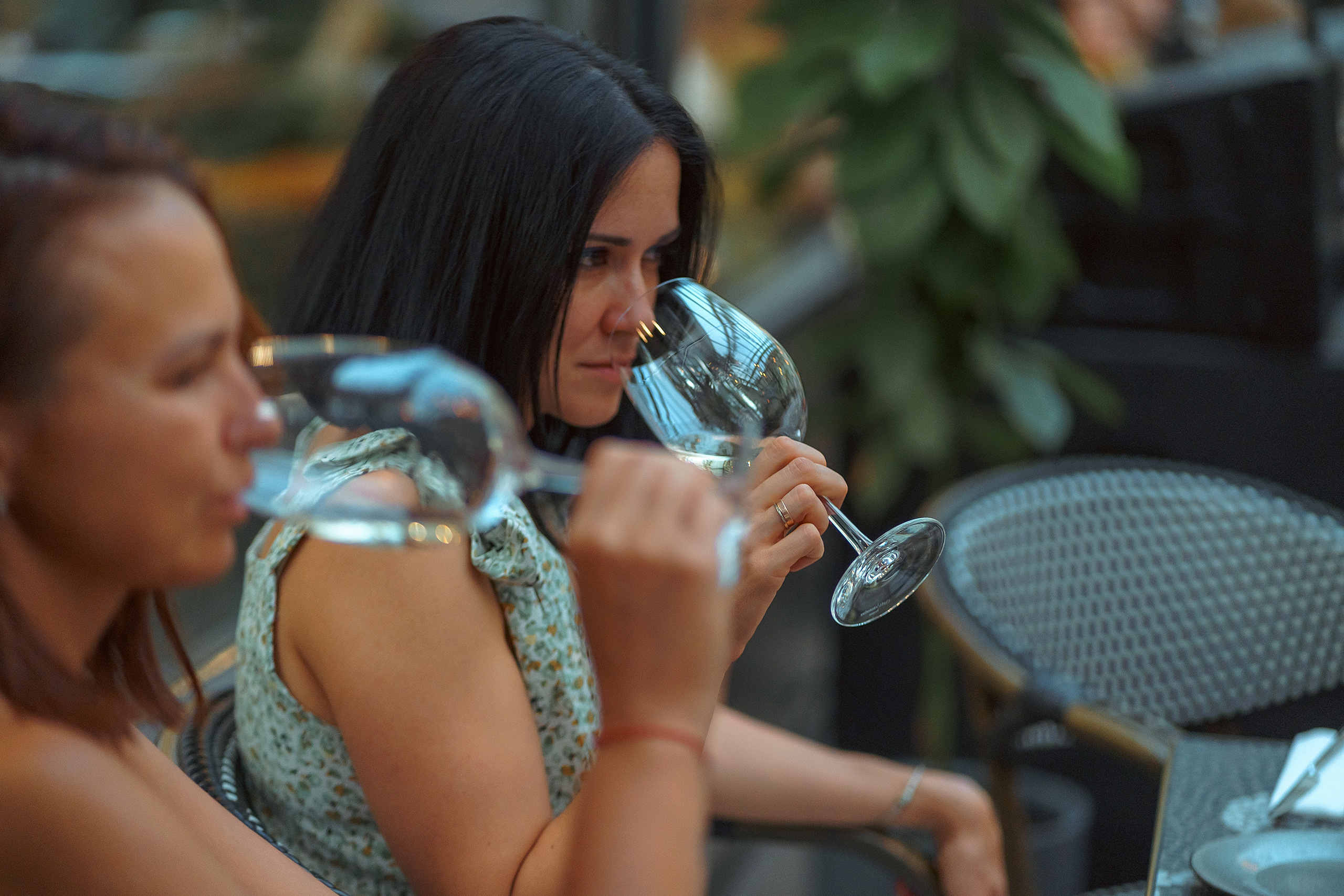 Вечер с виноделом. Усадьба Александровская. Фотограф Николай Владимиров