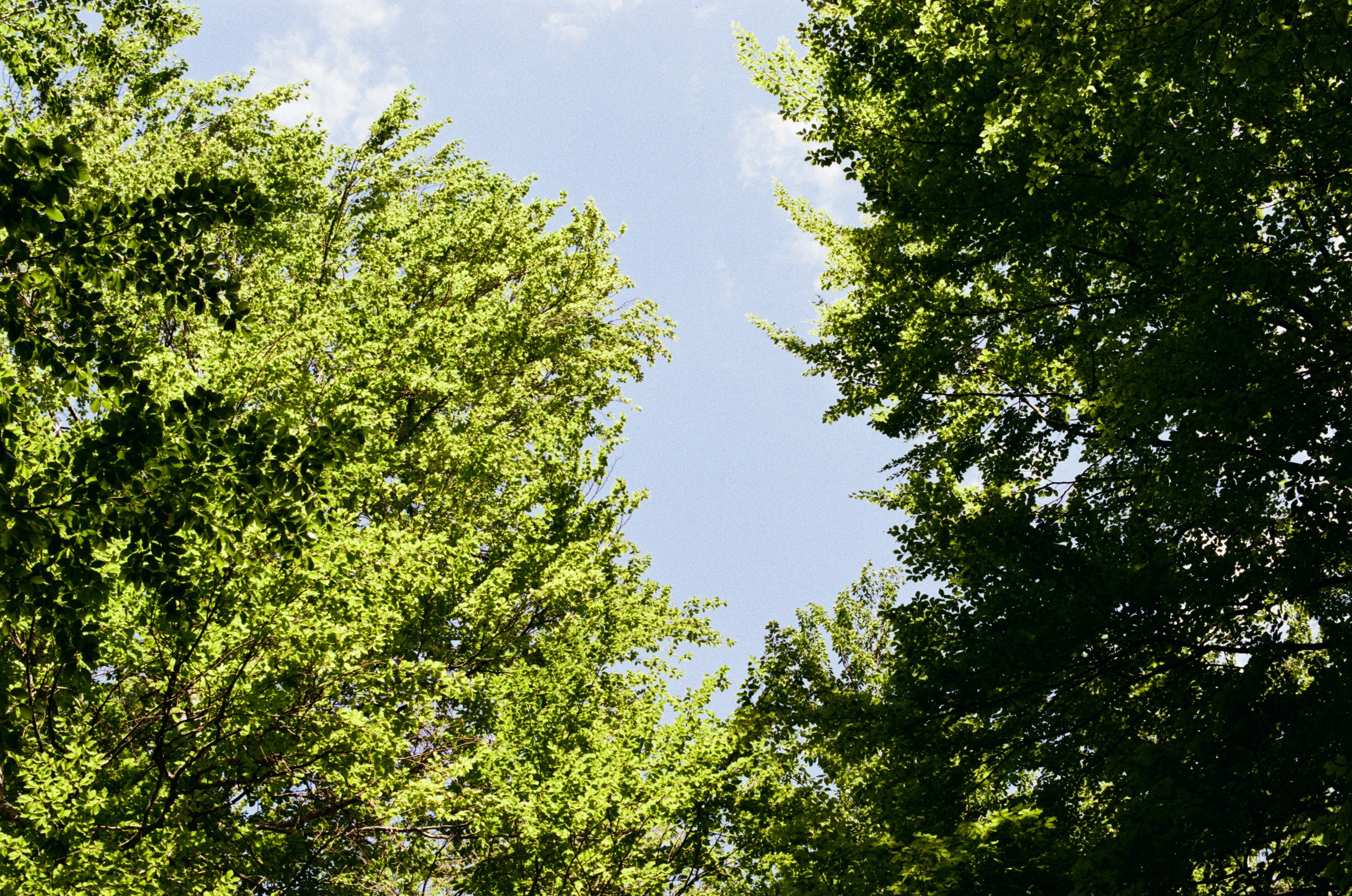 Point of no reply // ukraine, crimea III. EVER EXPOSED