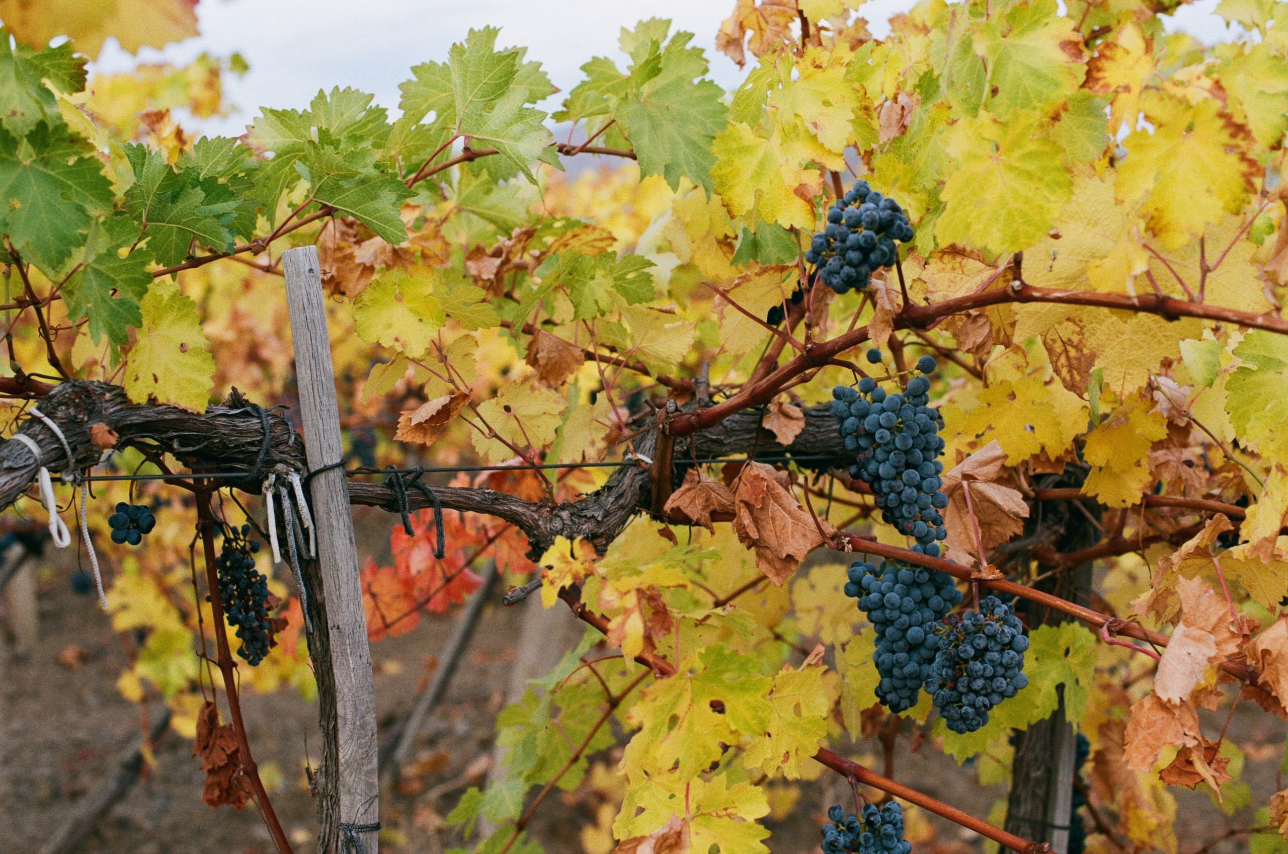 Wherever you will go // ukraine, crimea. EVER EXPOSED