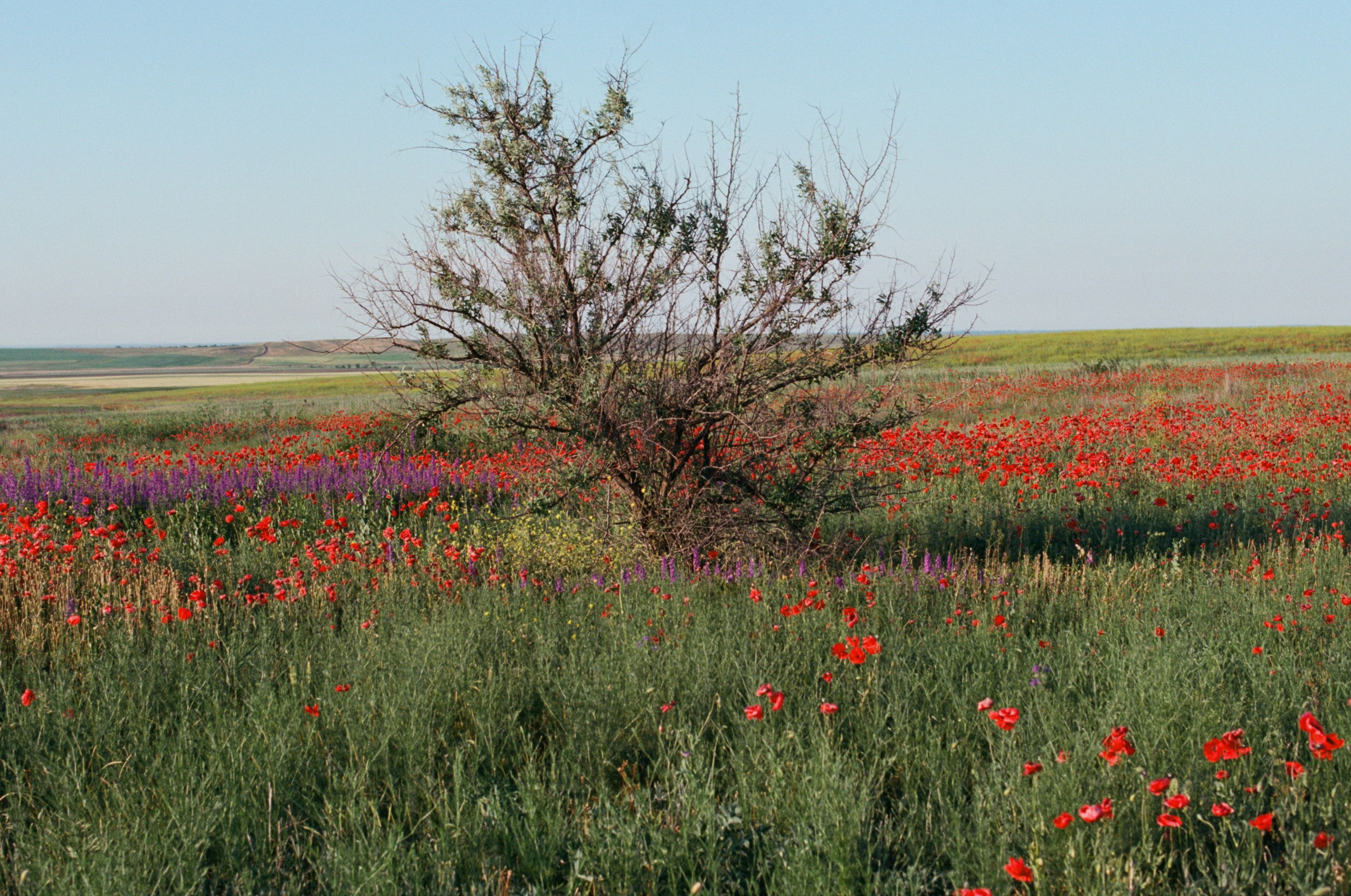Champagne supernova // ukraine, crimea II. EVER EXPOSED