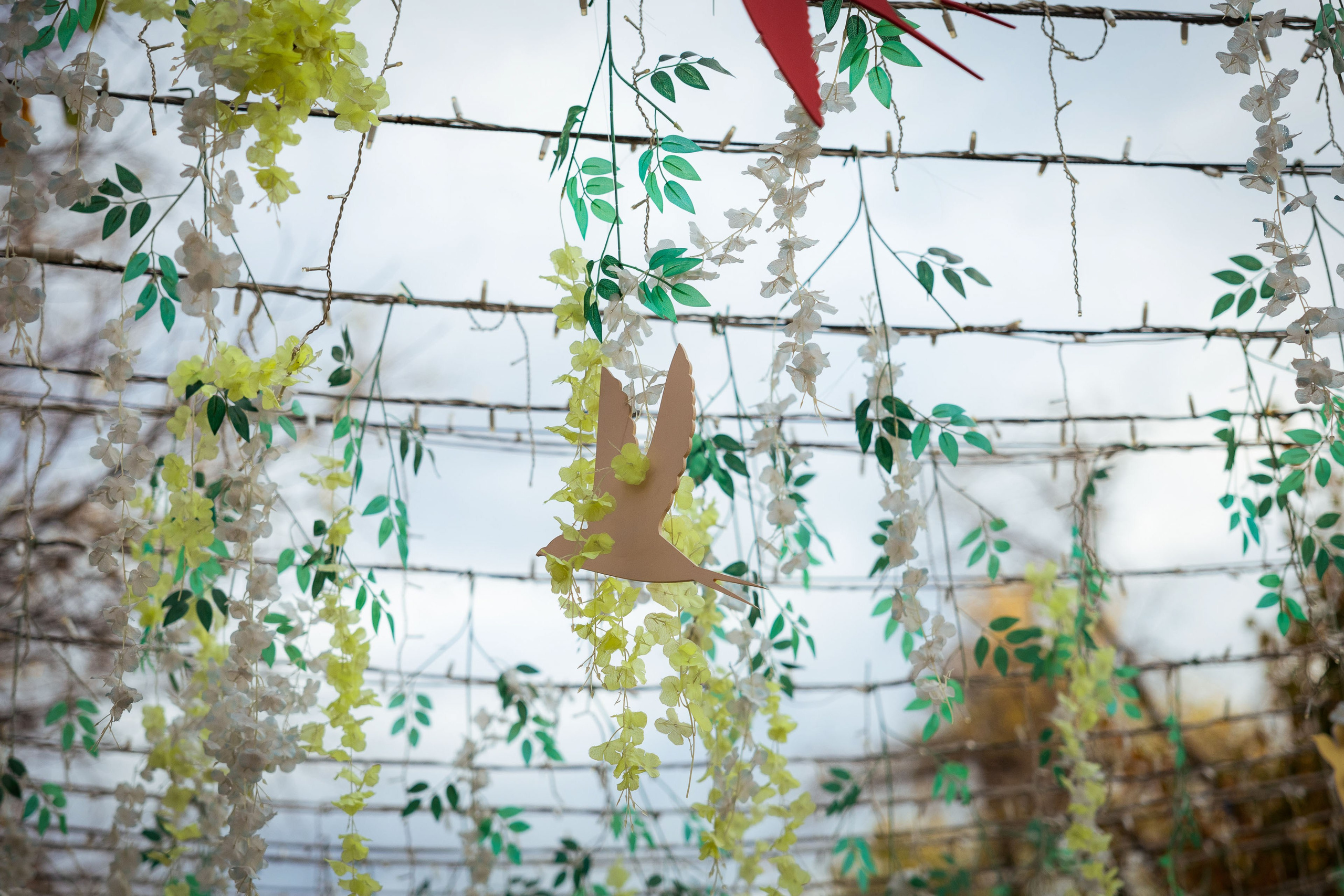 Казахстан (осень 2024). Фотограф Виноградов Константин