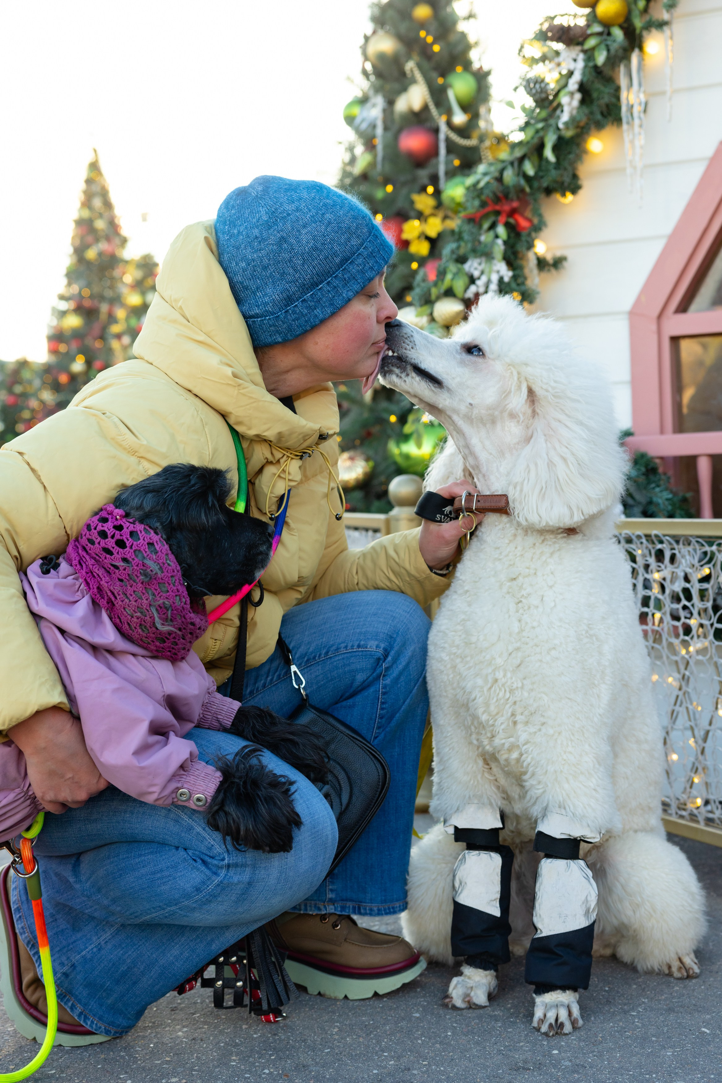 Клуб грумеров (прогулка и семинары). Виктория Зудина — фотограф в Москве