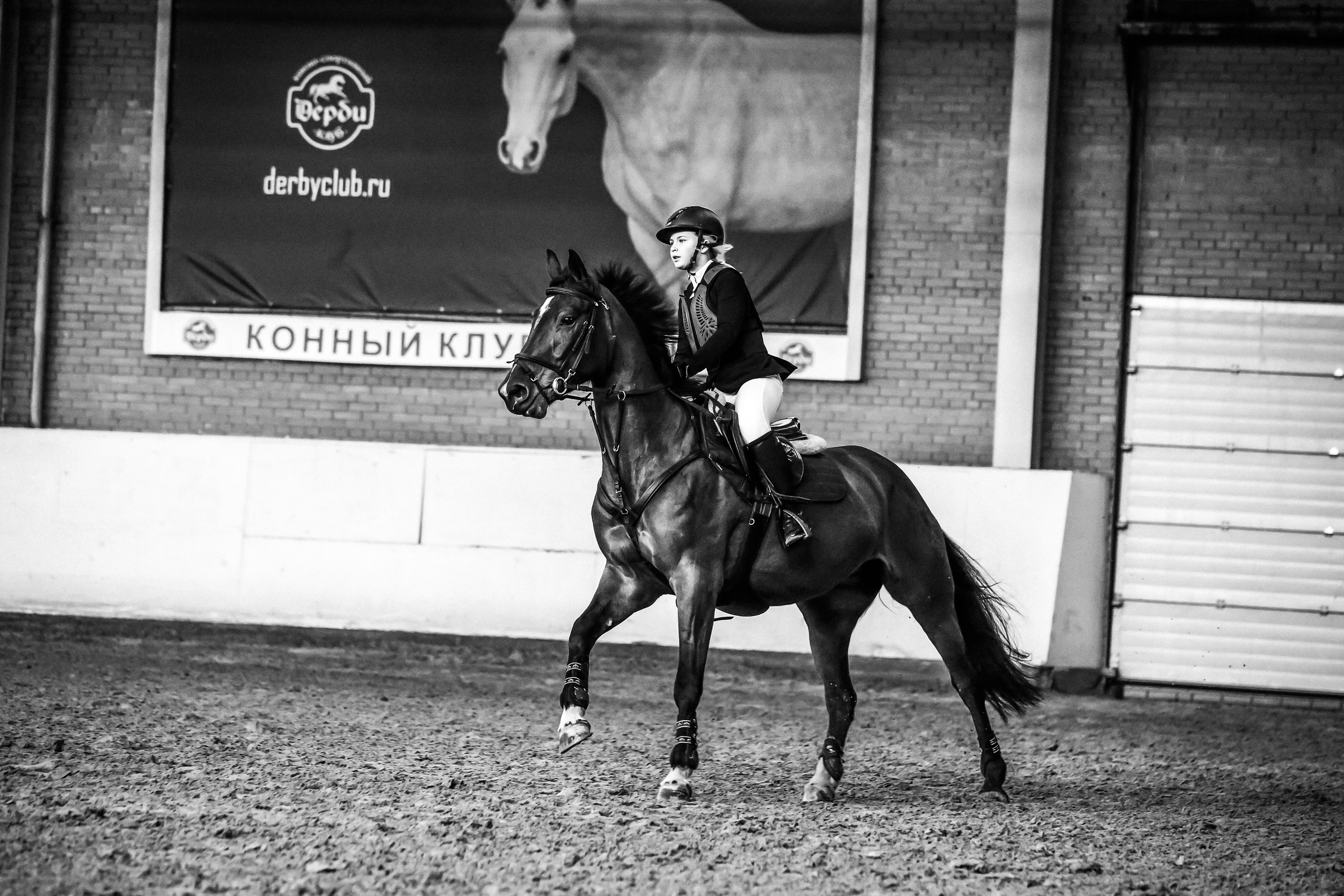 Лошади Евы Демидовой. Ева Демидова. Спортсмен по конкуру в Санкт-Петербуре