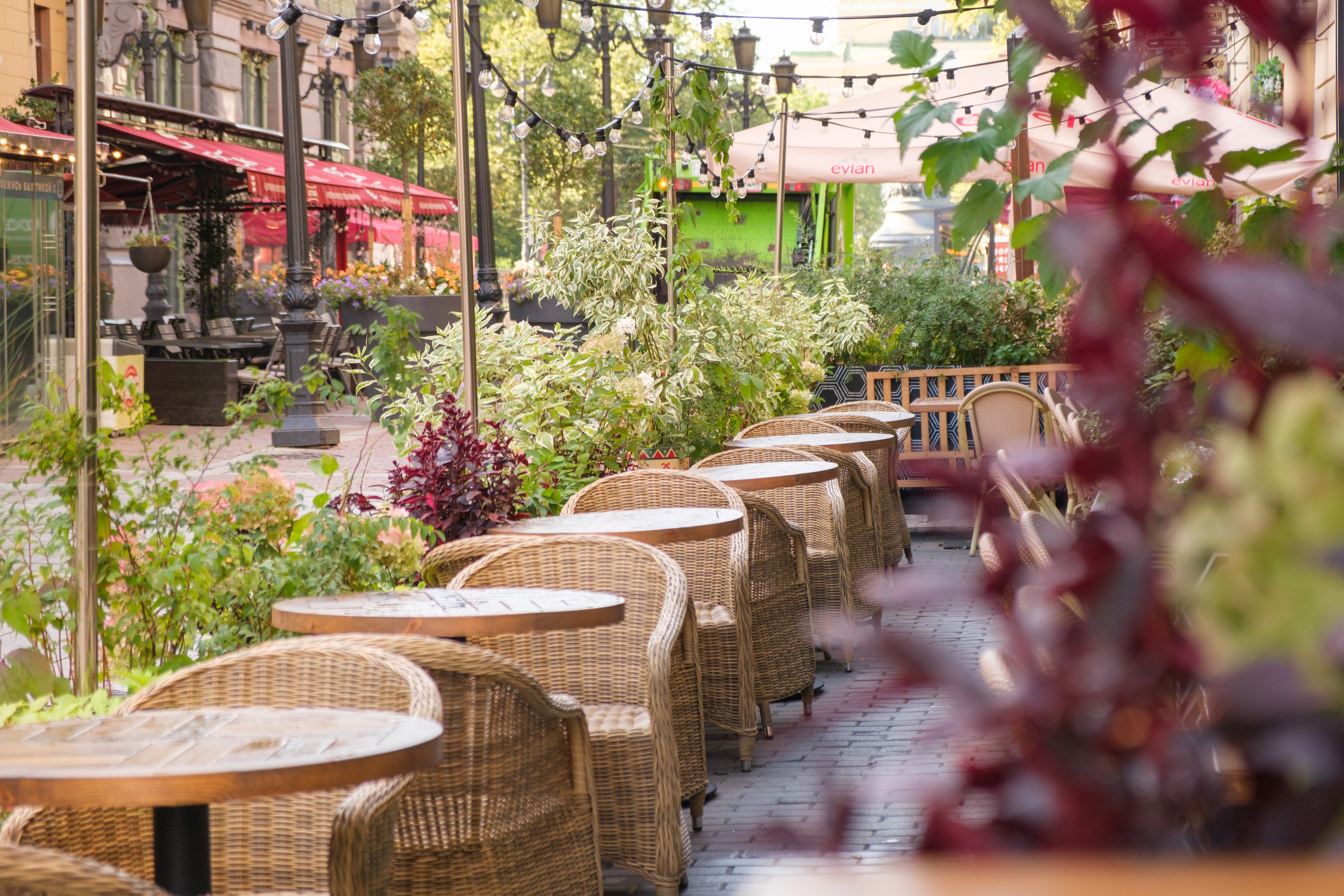 Озеленение