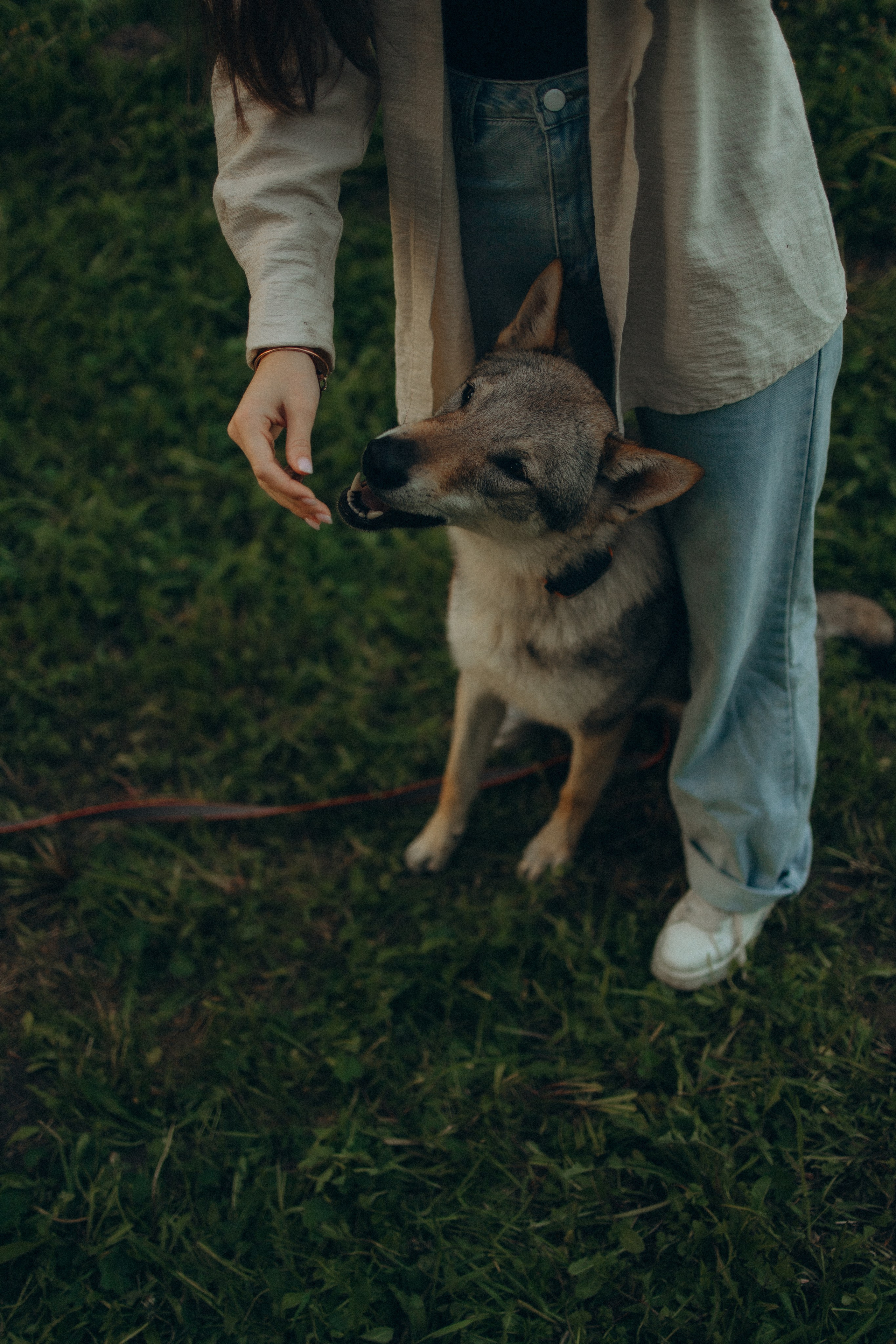 Аня и ее семья. Фотораф — анималист Мария Шистка