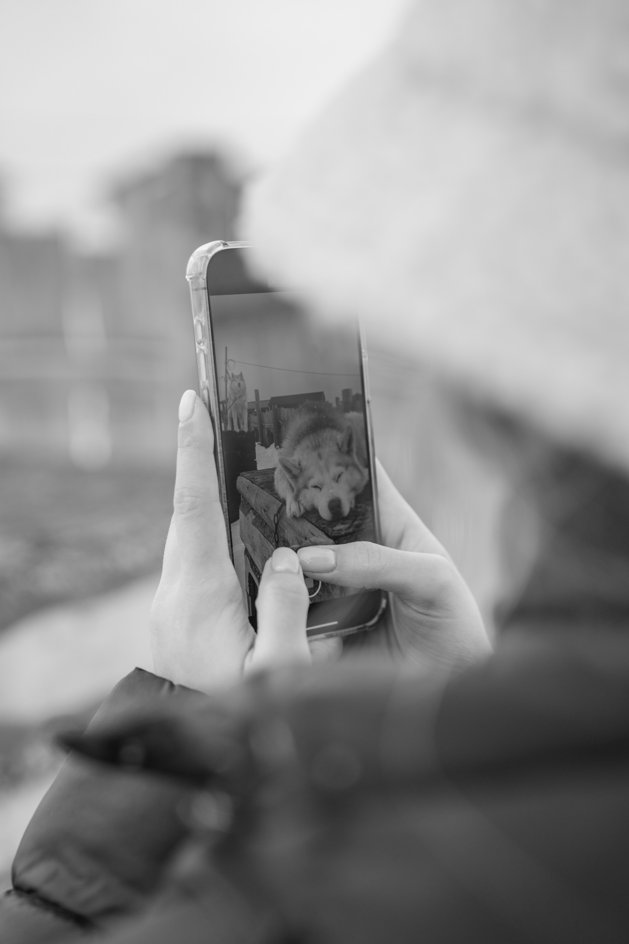 Териберка — репортаж тура Ковчег 51. Видеограф в Санкт-Петербурге Анастасия Коок