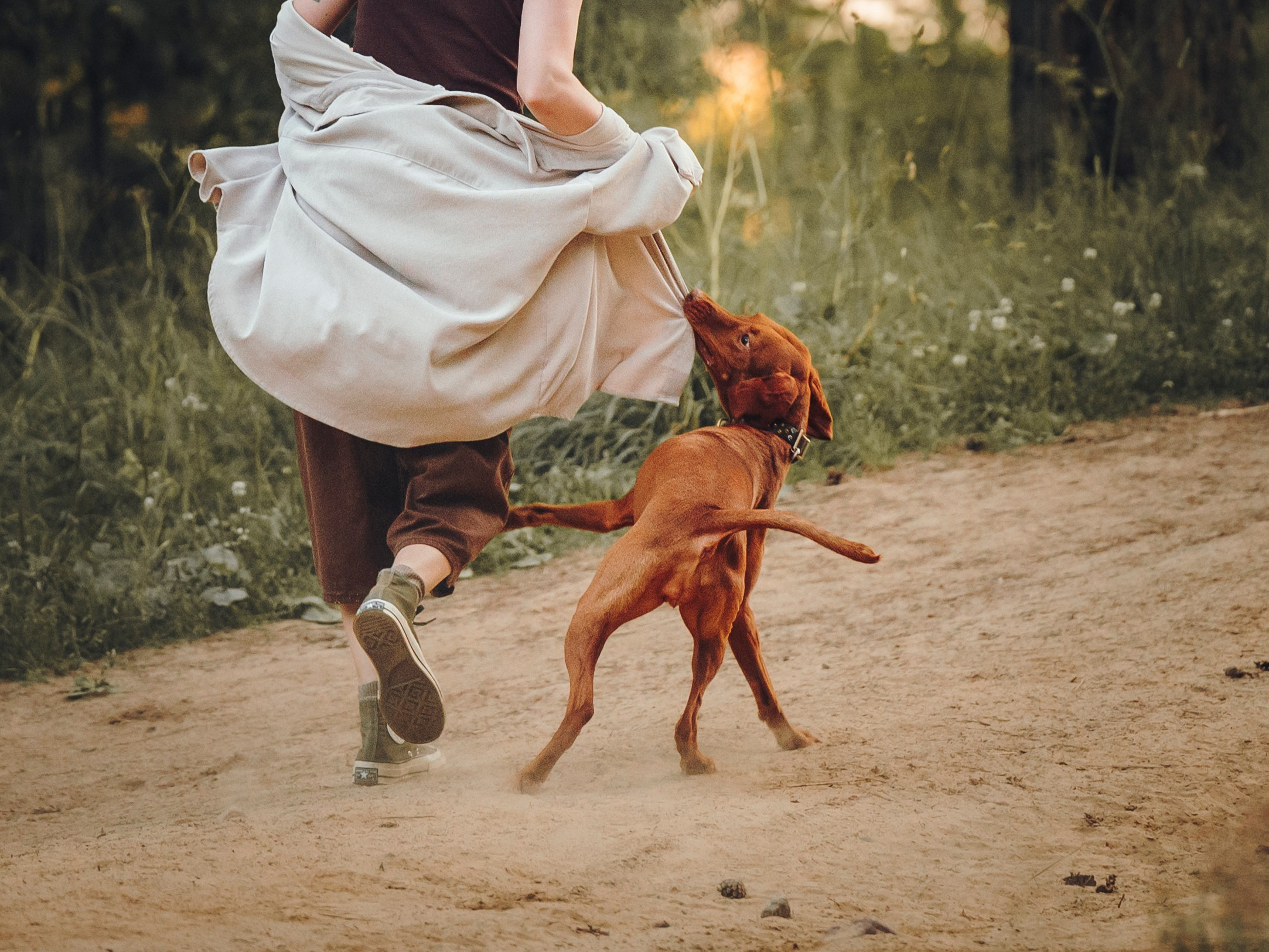 Маша, Трисс и Эста. Семейный фотограф анималист Ананьева Мария — Москва