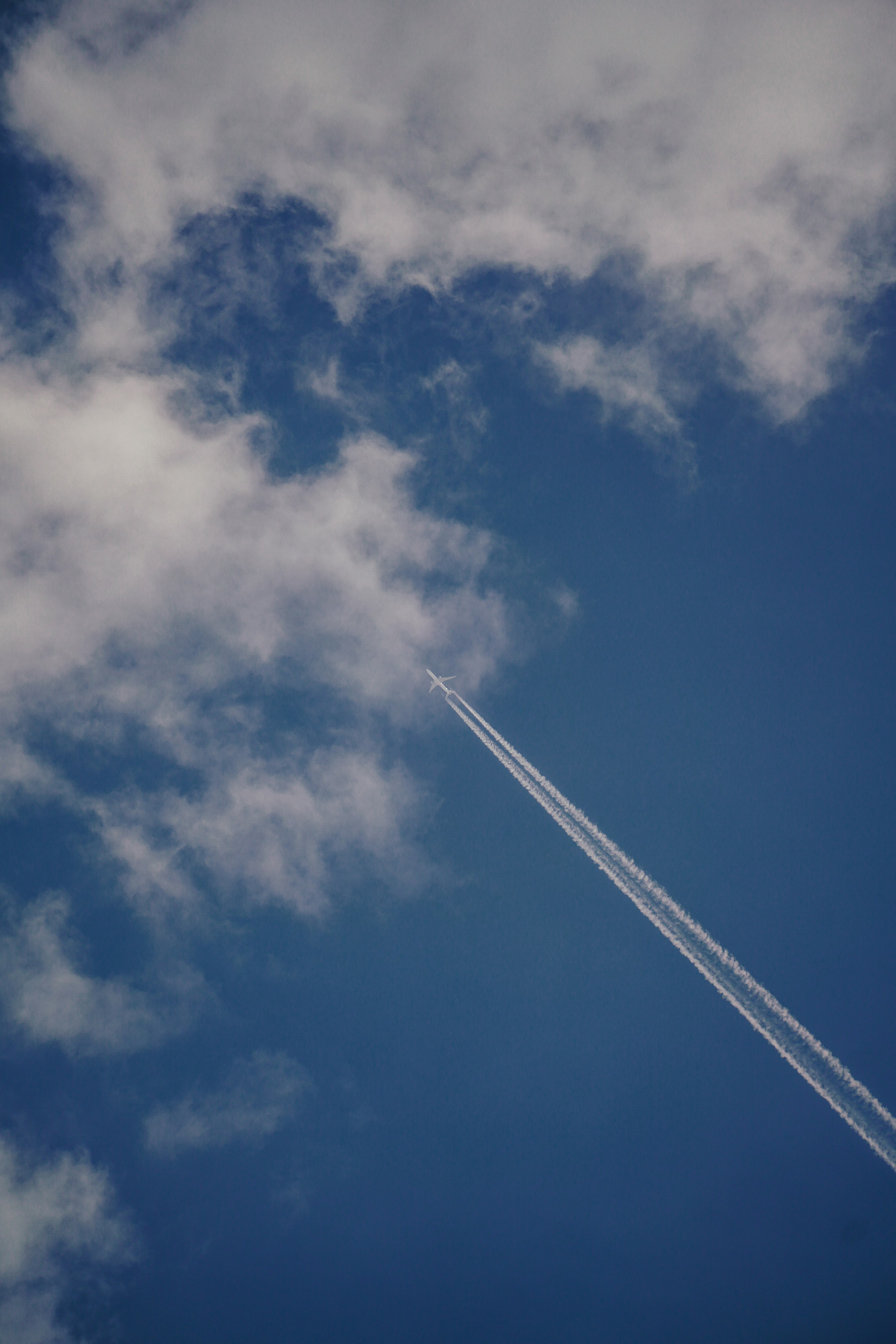 Иваново, Март–Апрель 2022