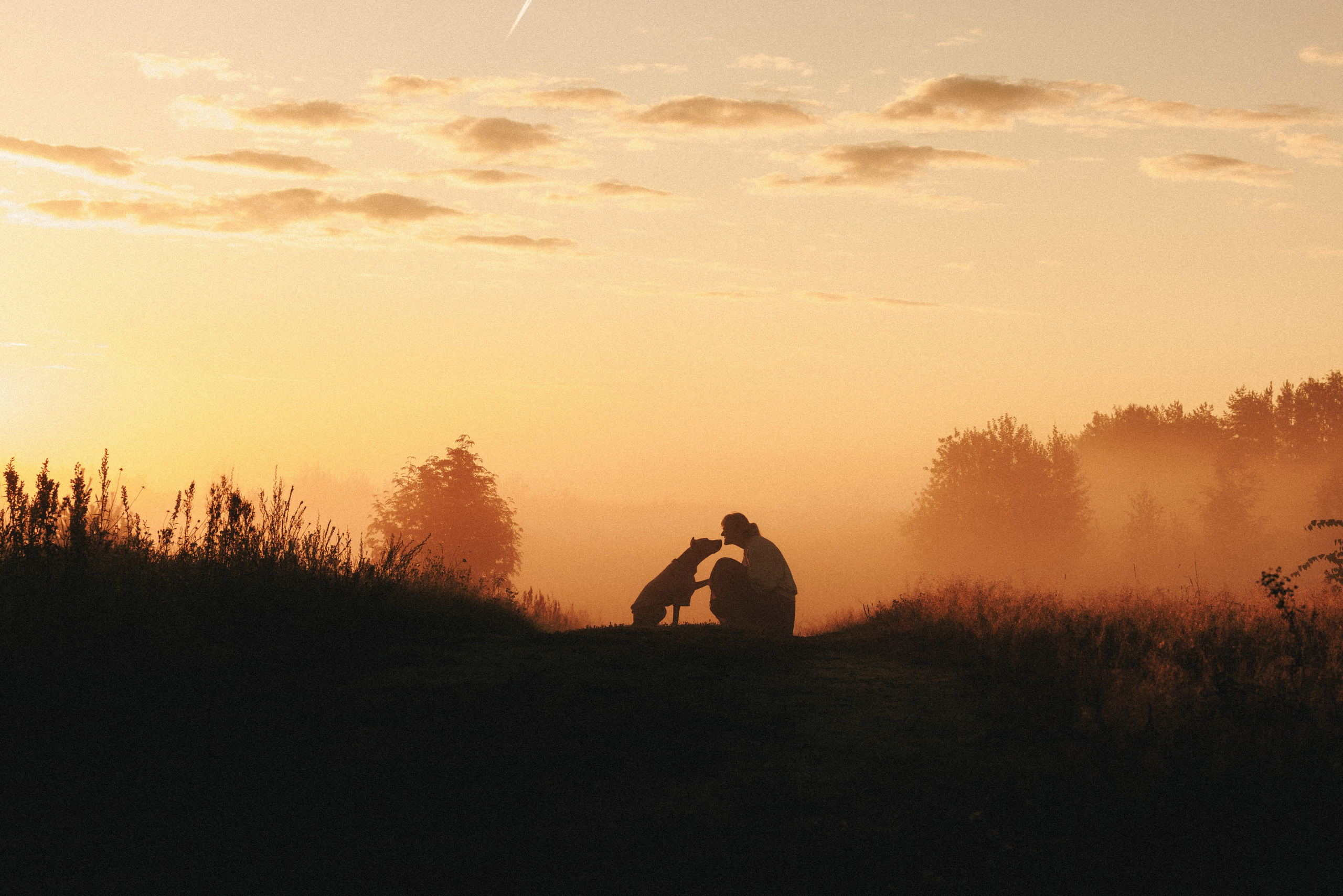 Фотограф анималист Осипчикова Мария