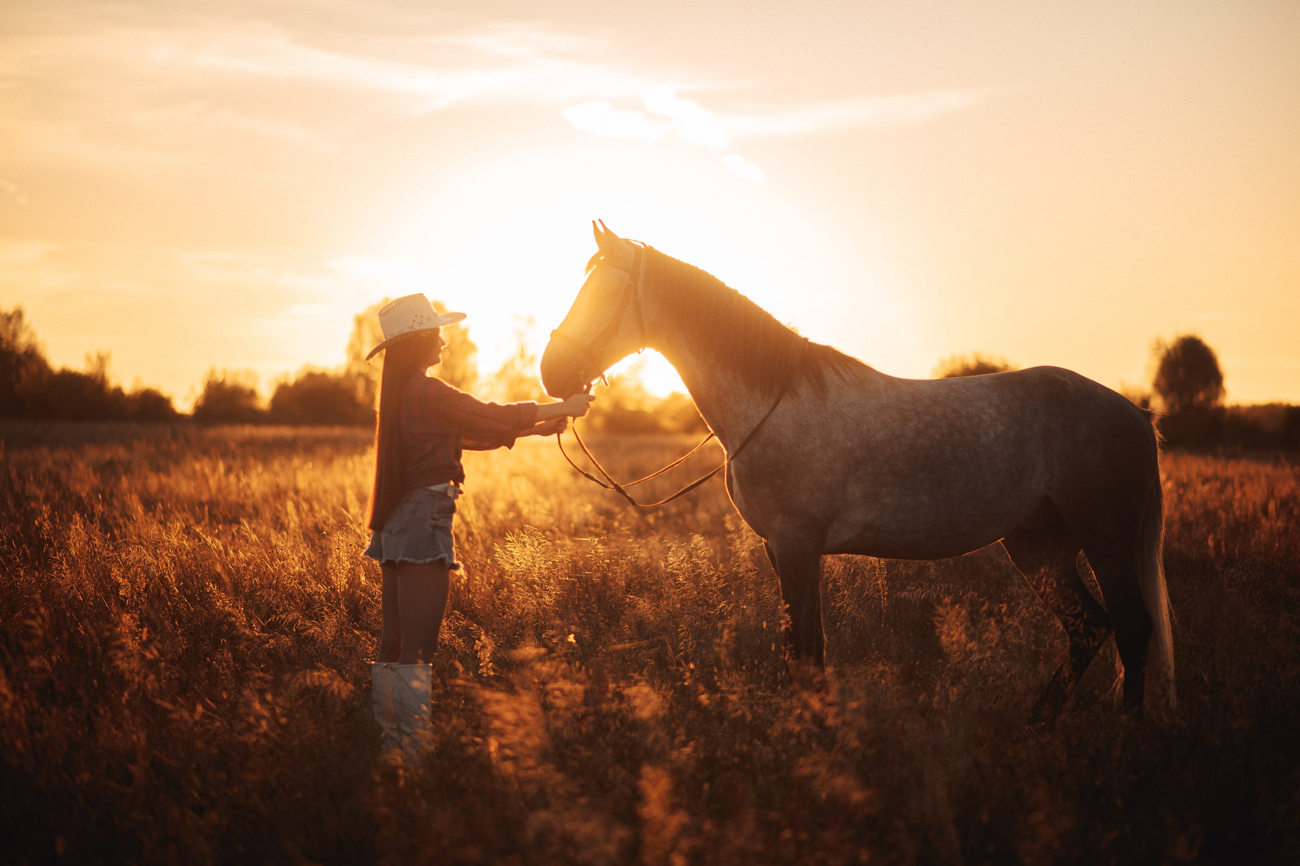 Вероника и Дакар — 23.09.2024. Фотограф — Анималист | Анна Абрамова