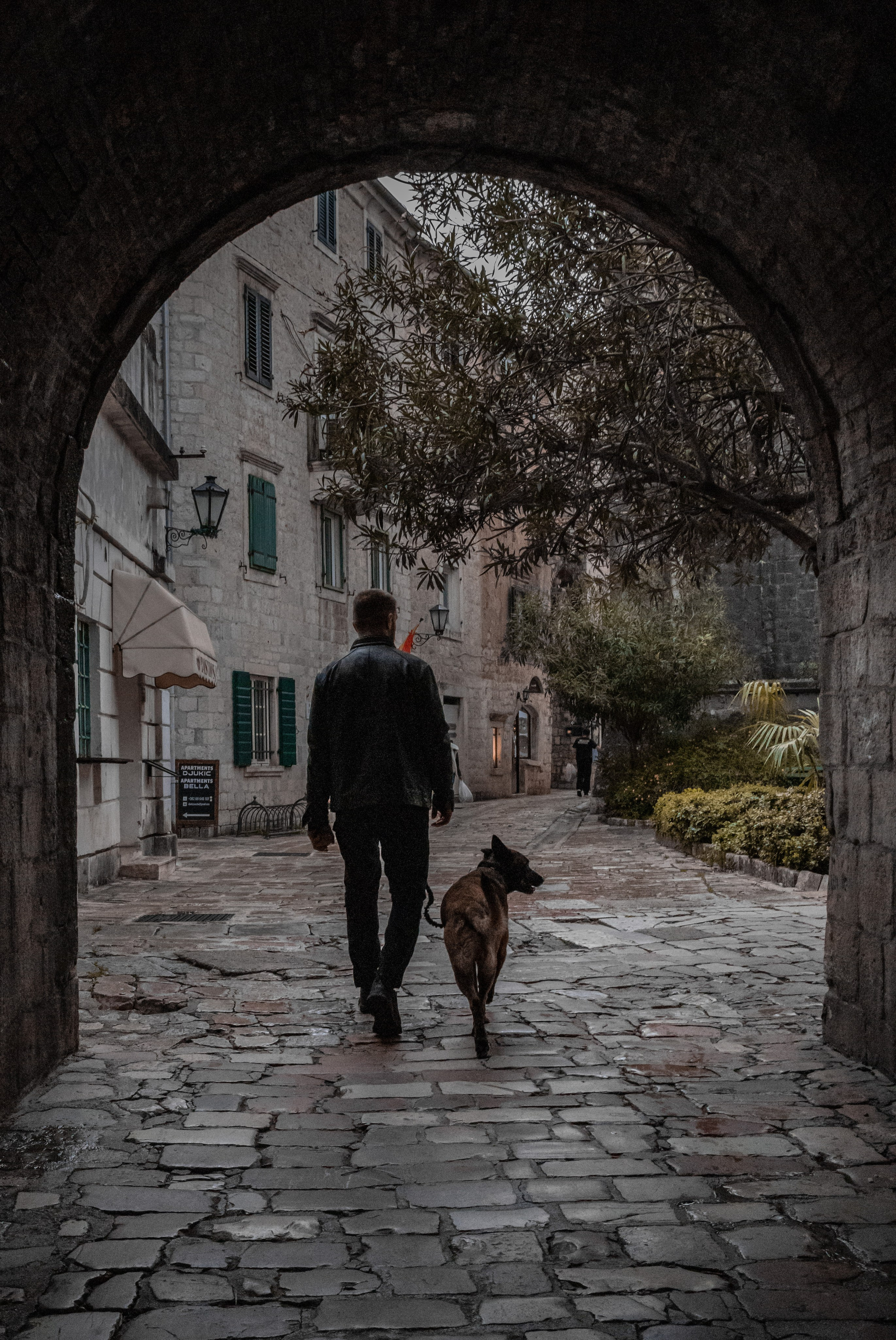 Photoshoot with a dog in Montenegro. Portrait photographer in Tivat Montenegro Katerina Kirsanova