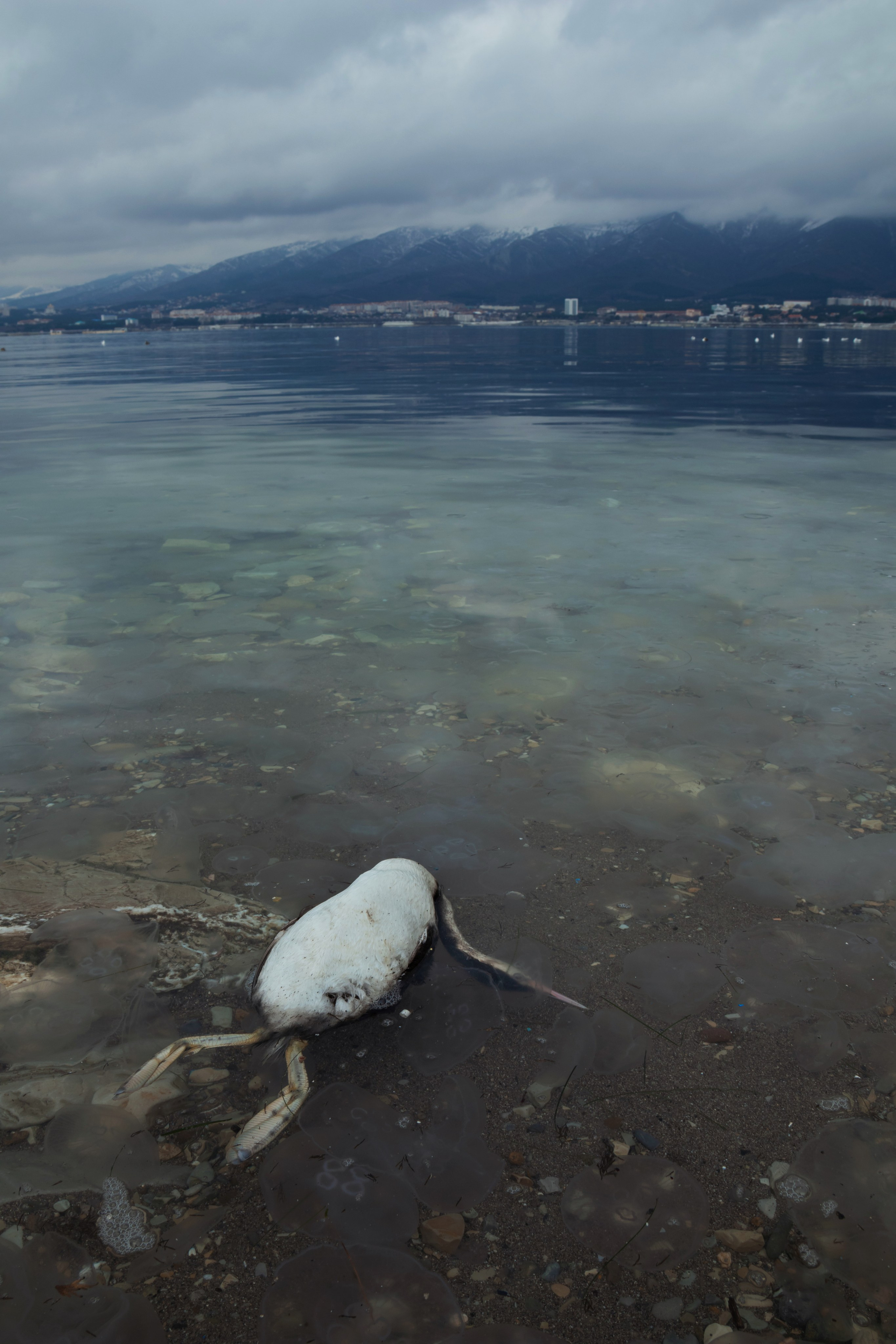 Documentary. Portrait photographer in Tivat Montenegro Katerina Kirsanova