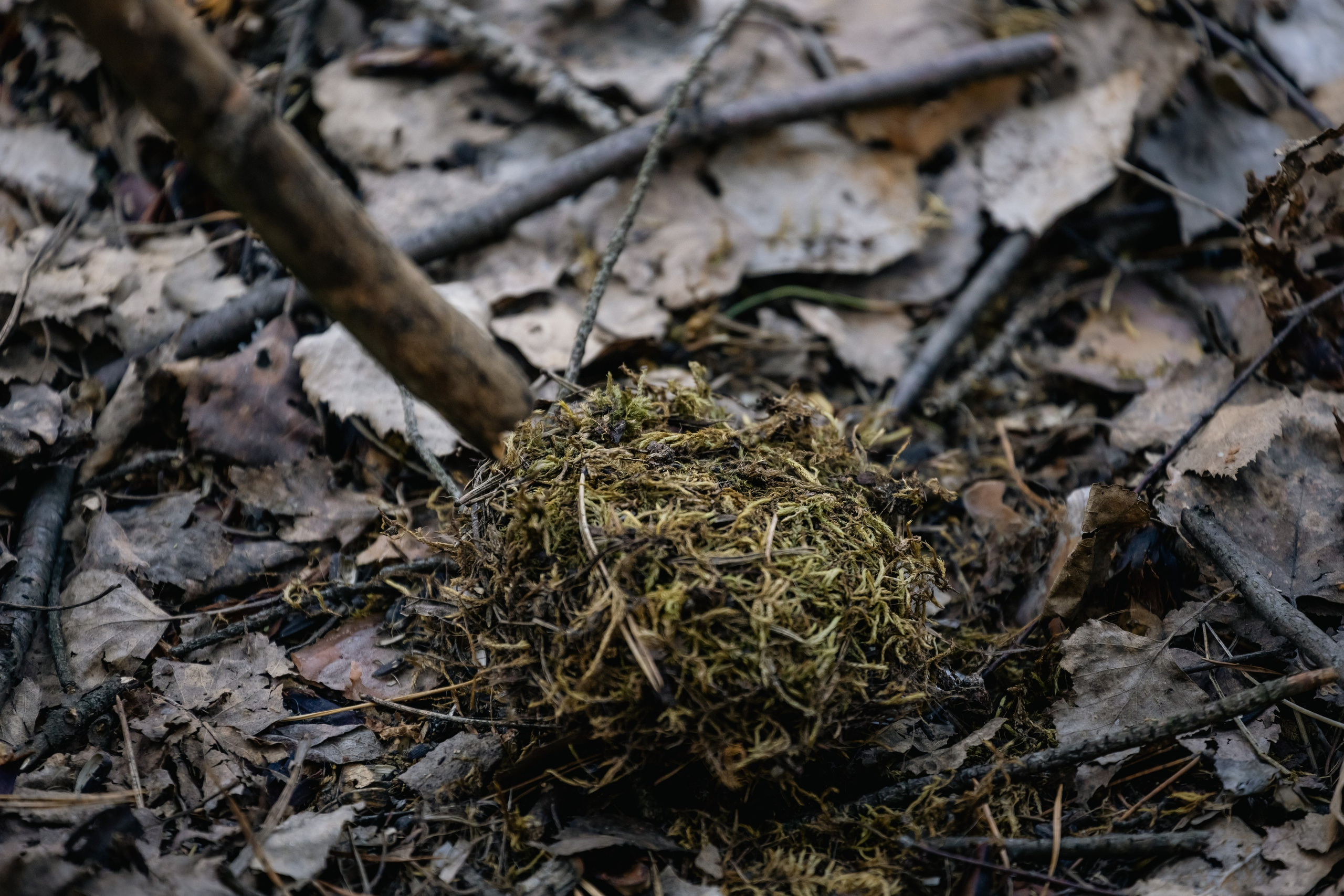Георгий Кравченко. Инженер и орнитолог. Репортажный фотограф Наталья Лапцевич