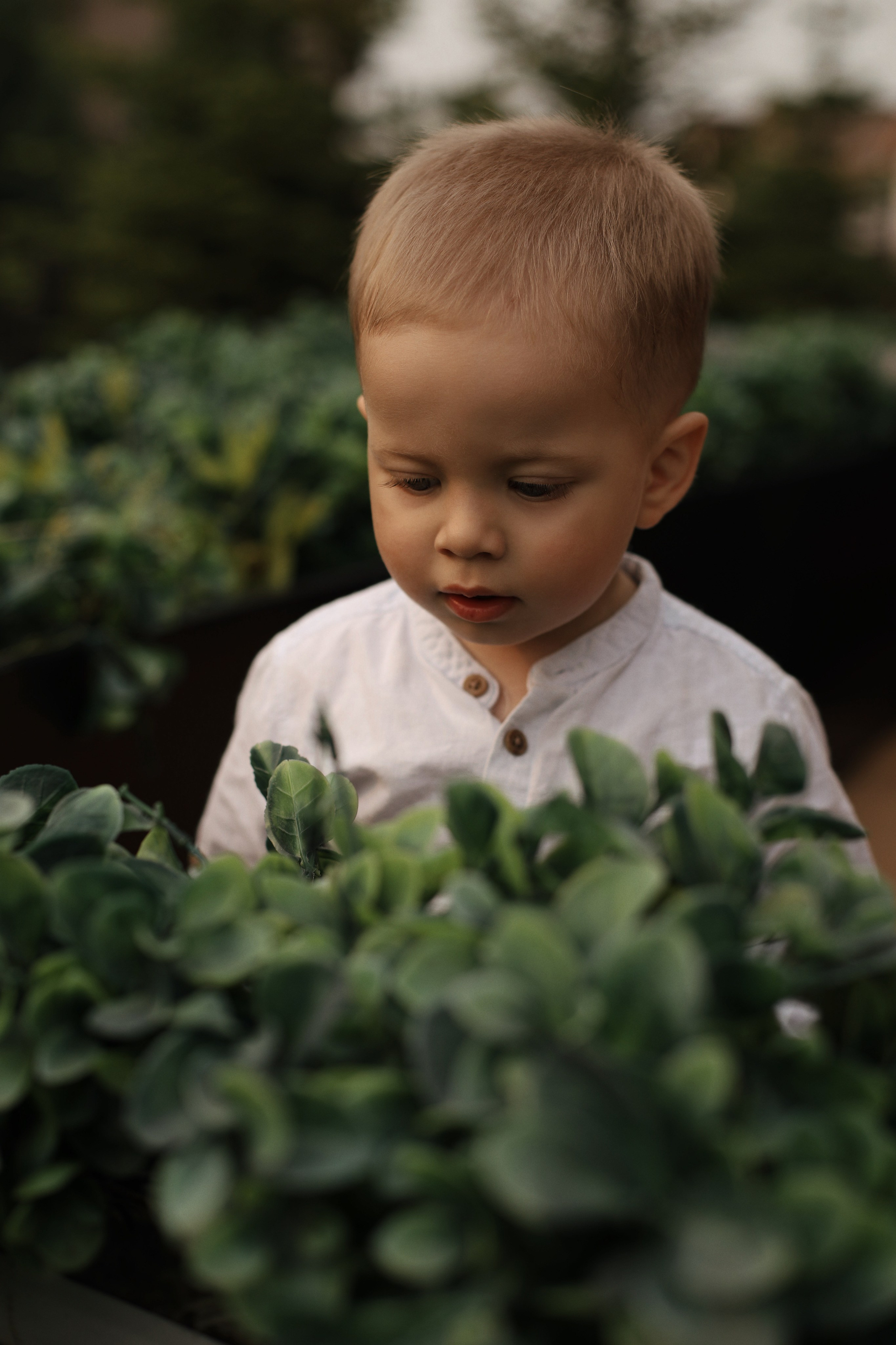 Family love. Семейный и свадебный фотограф в Хабаровске