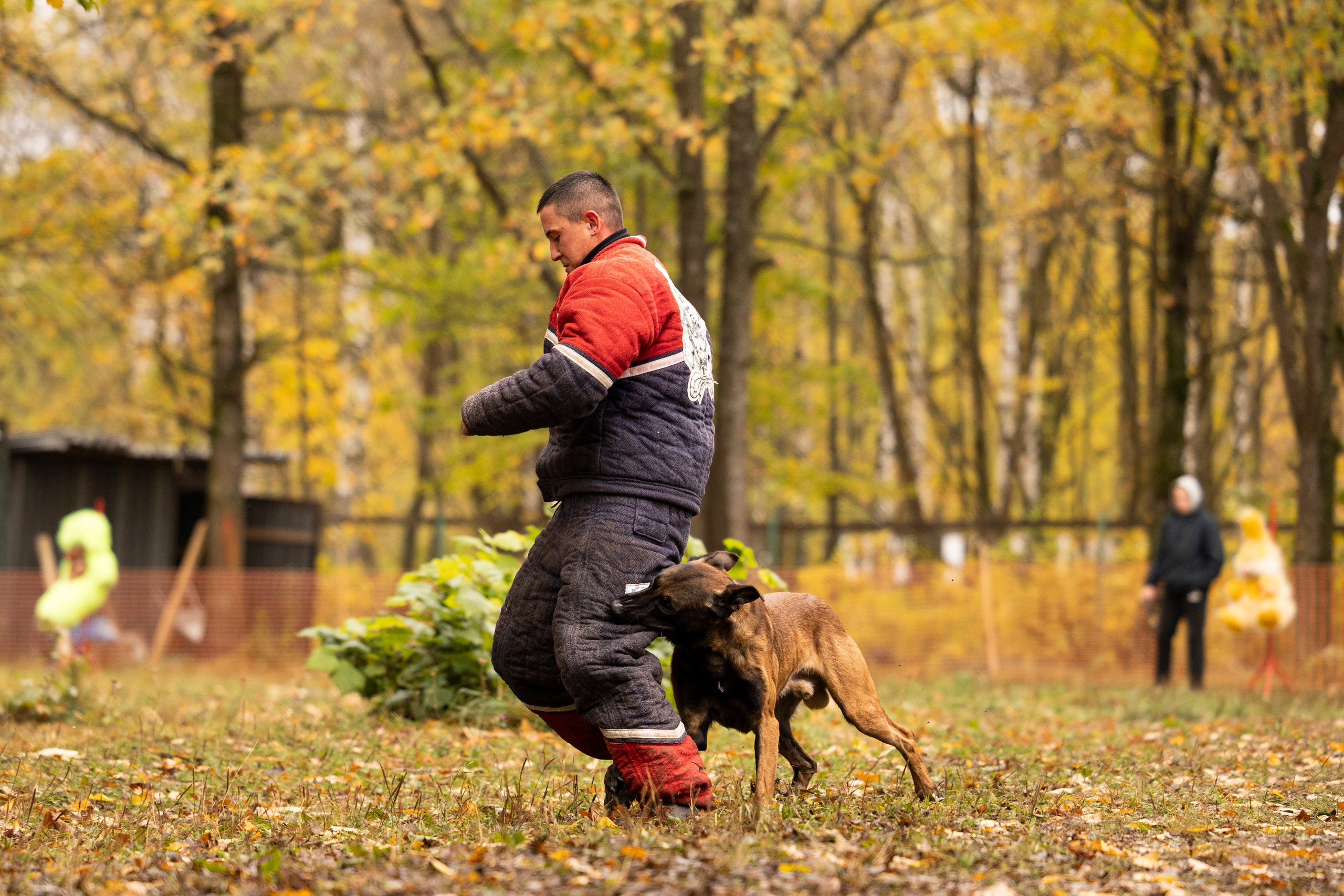 Соревнования по Мондьорингу г. Вологда. Фотограф-анималист Анна Маринич