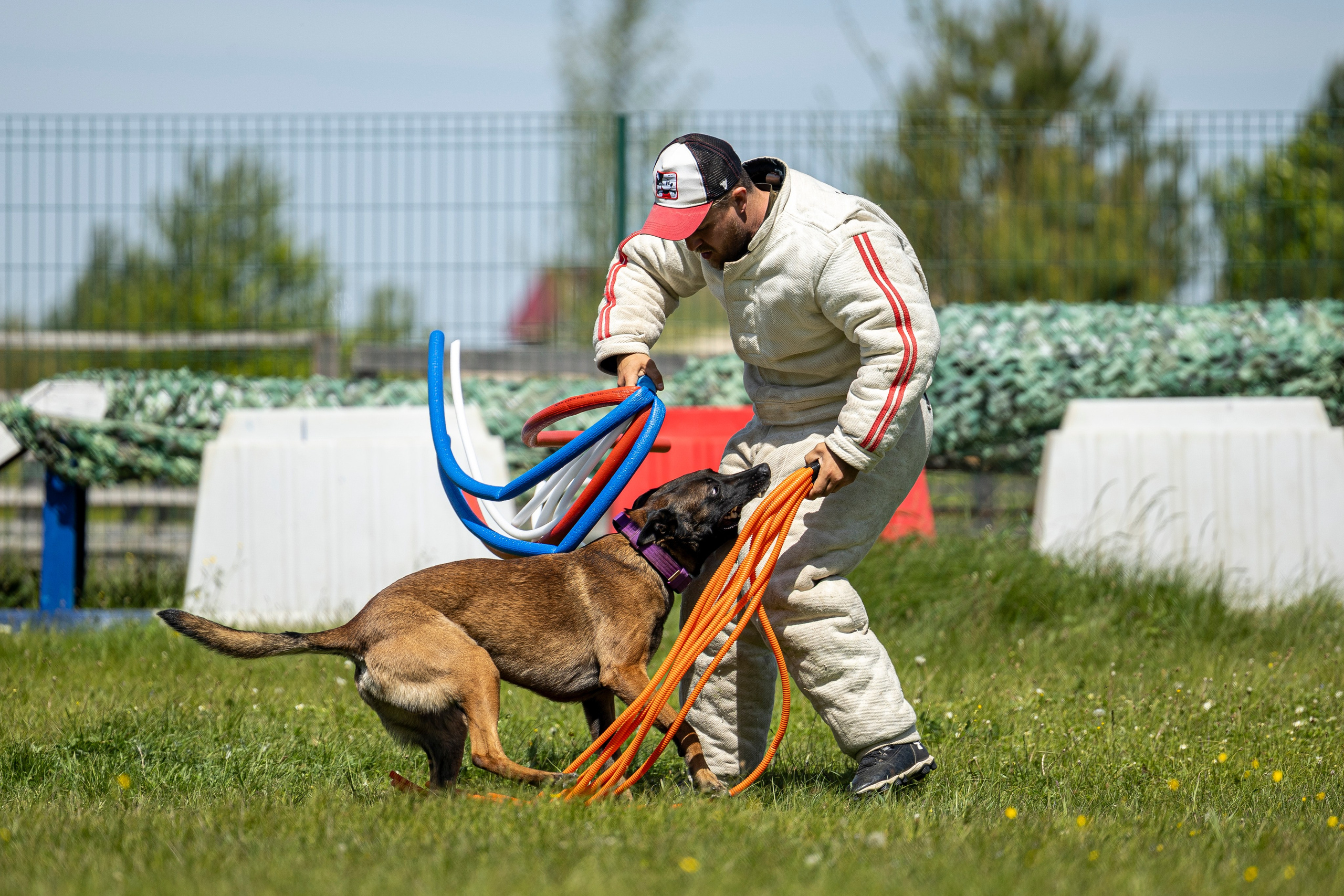 Испытания по мондьорингу в Нижнем Новгороде. Фотограф-анималист Анна Маринич