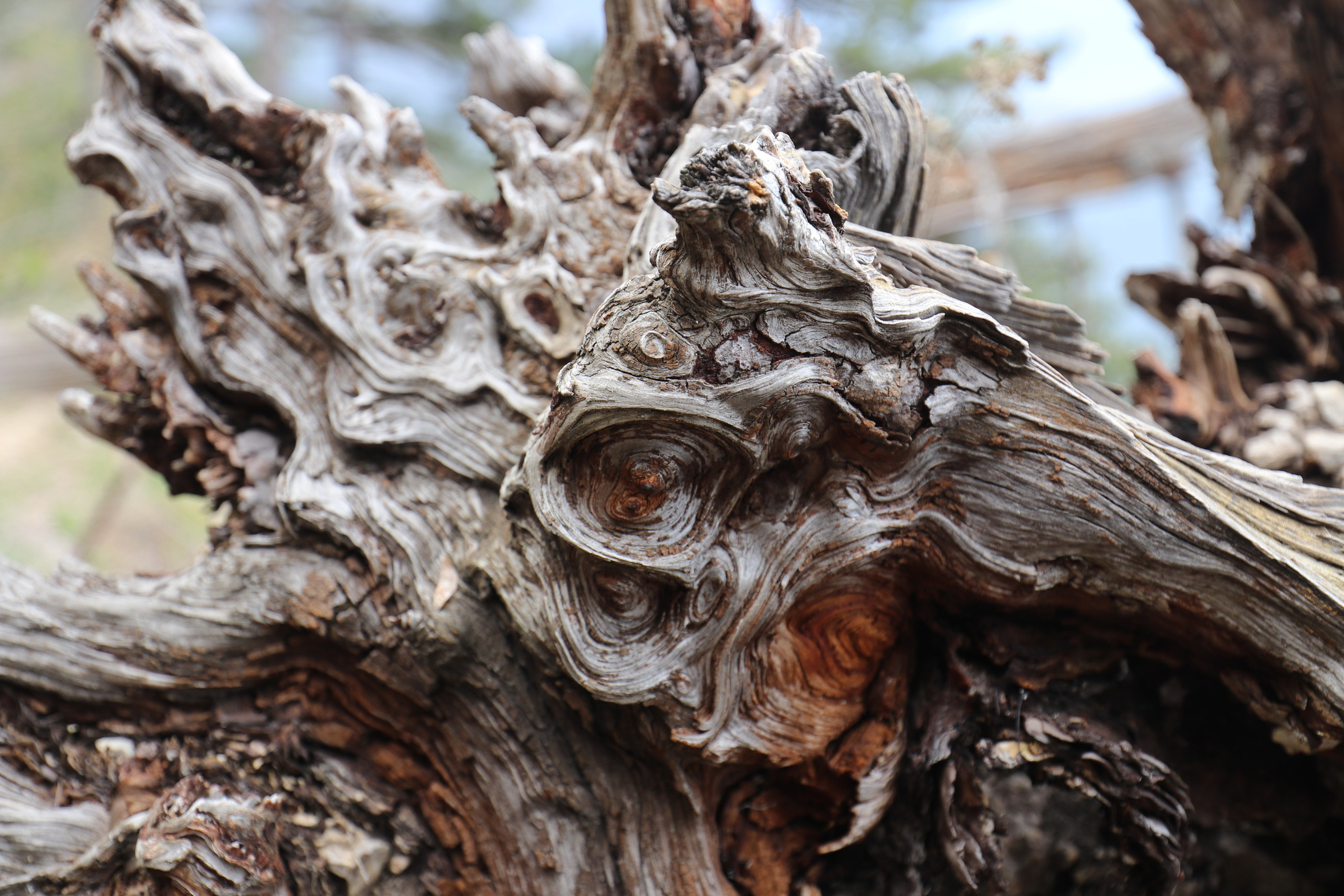 Крым. ЮБК (Бахчисарай, Кастрополь, Таракташская тропа). Май 2021. Путешественник-фотограф из Санкт-Петербурга Татьяна Свистулина