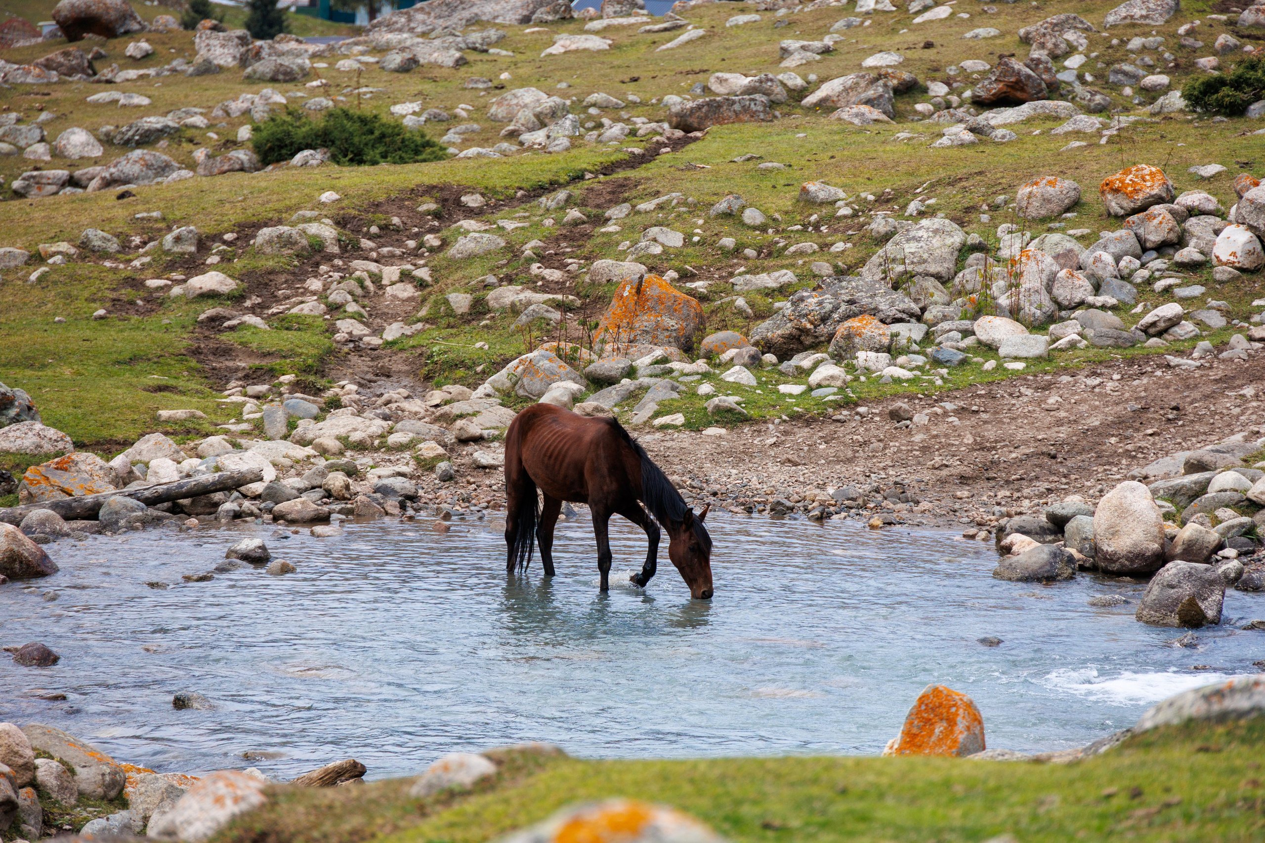 Кыргызстан | travel-репортаж. Портретный фотограф Москва | Елена Столиванова