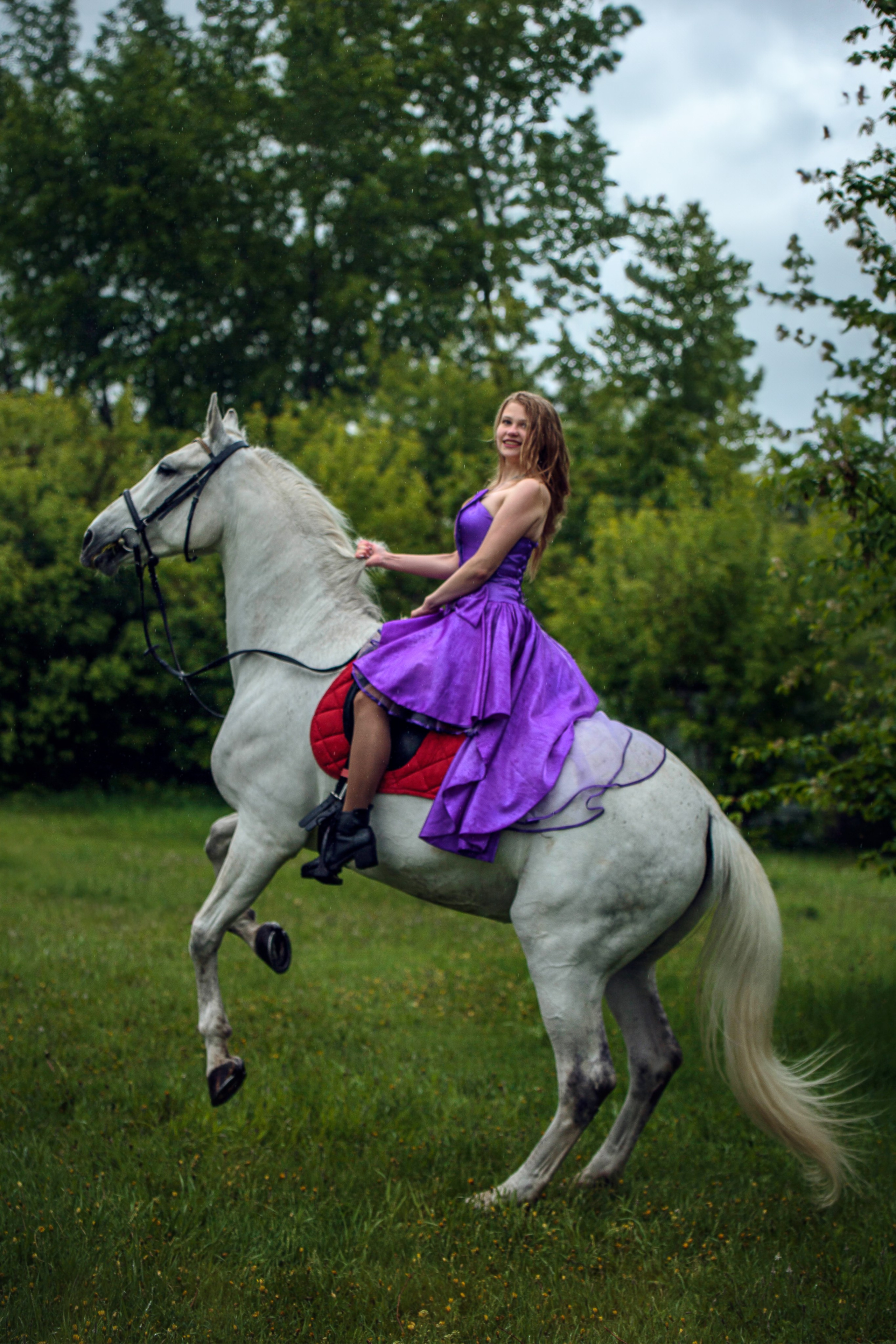 Красноярский ип-м. Конный фотограф в Красноярске — Любовь Похабова