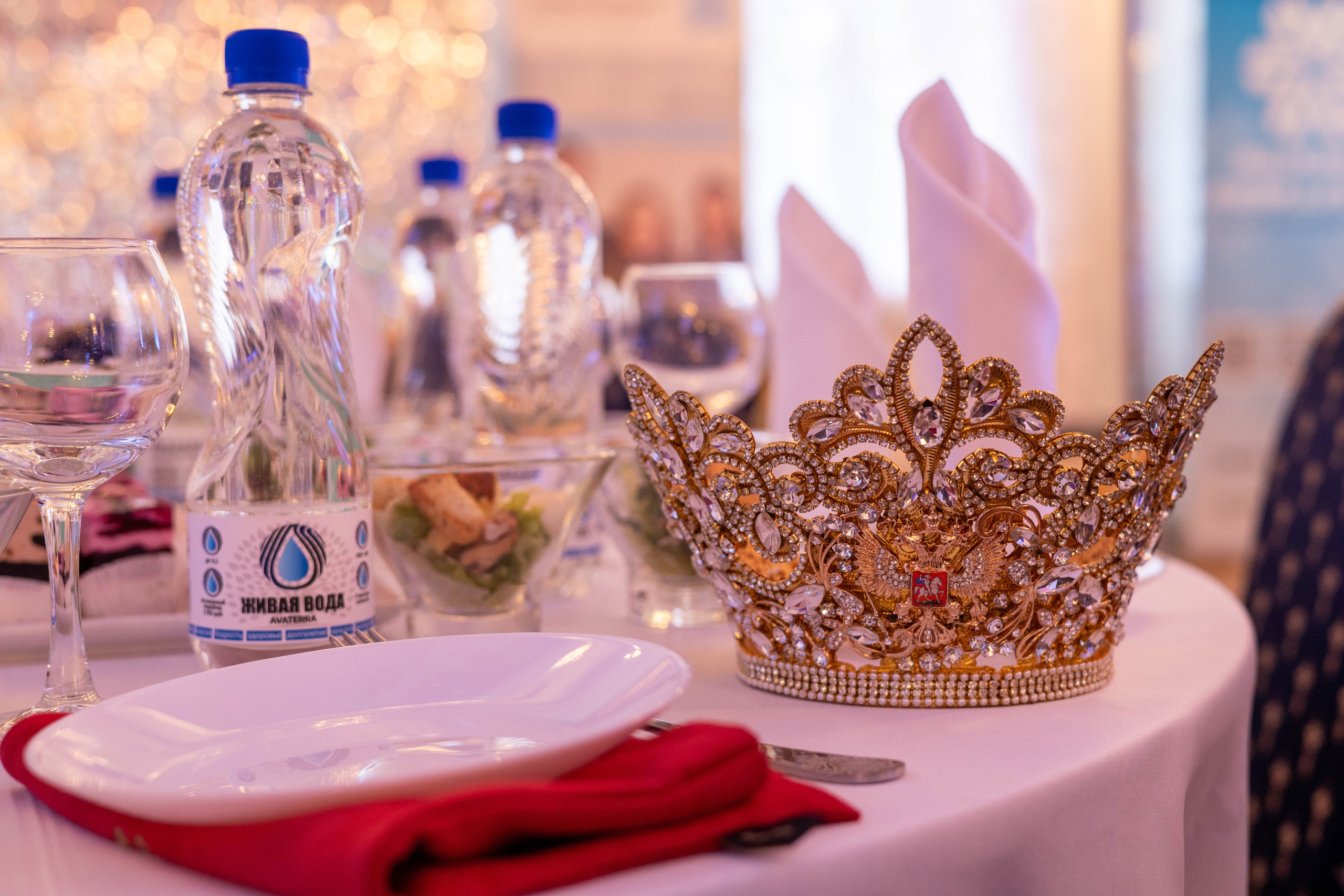 Мисс и Миссис Бизнес Гатчина 2025. Открытие. Главная