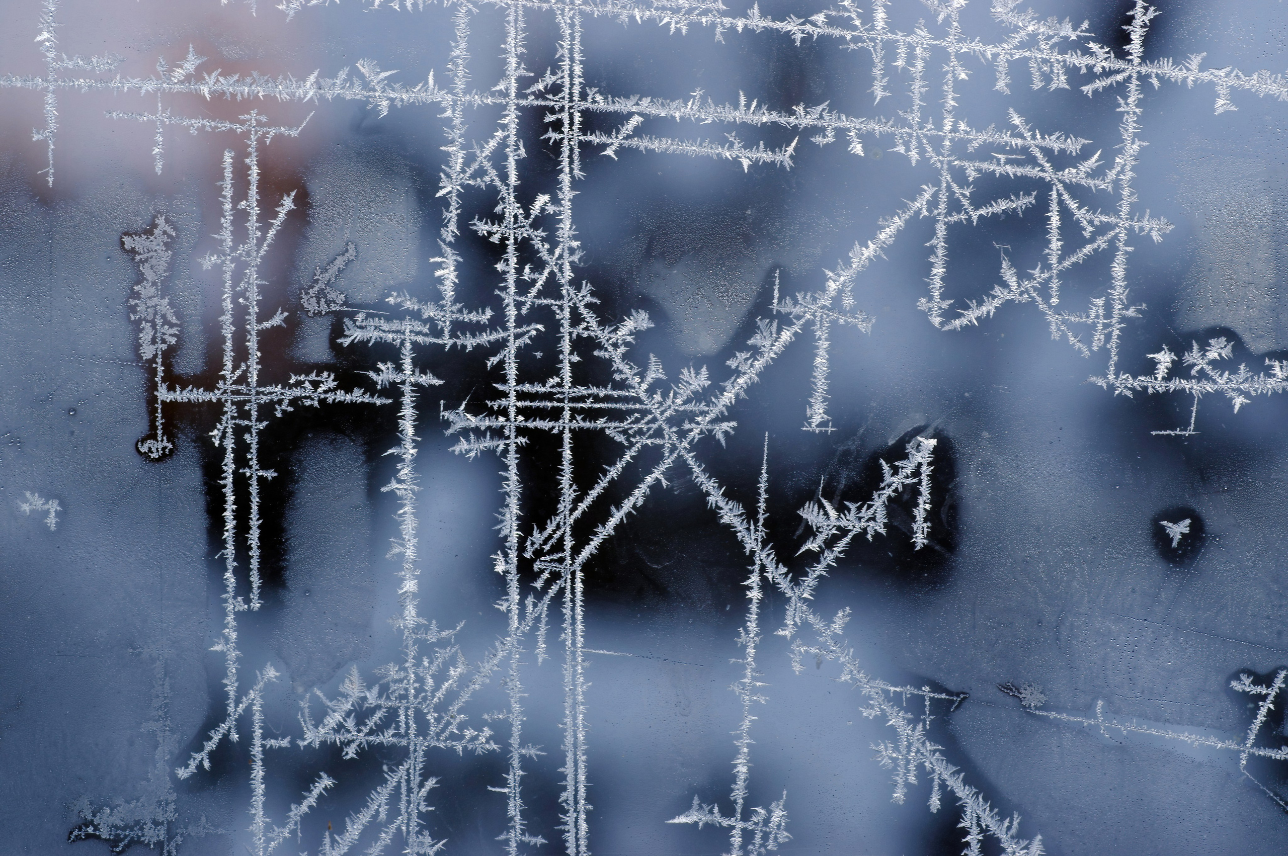 4. Вадим Шейдин