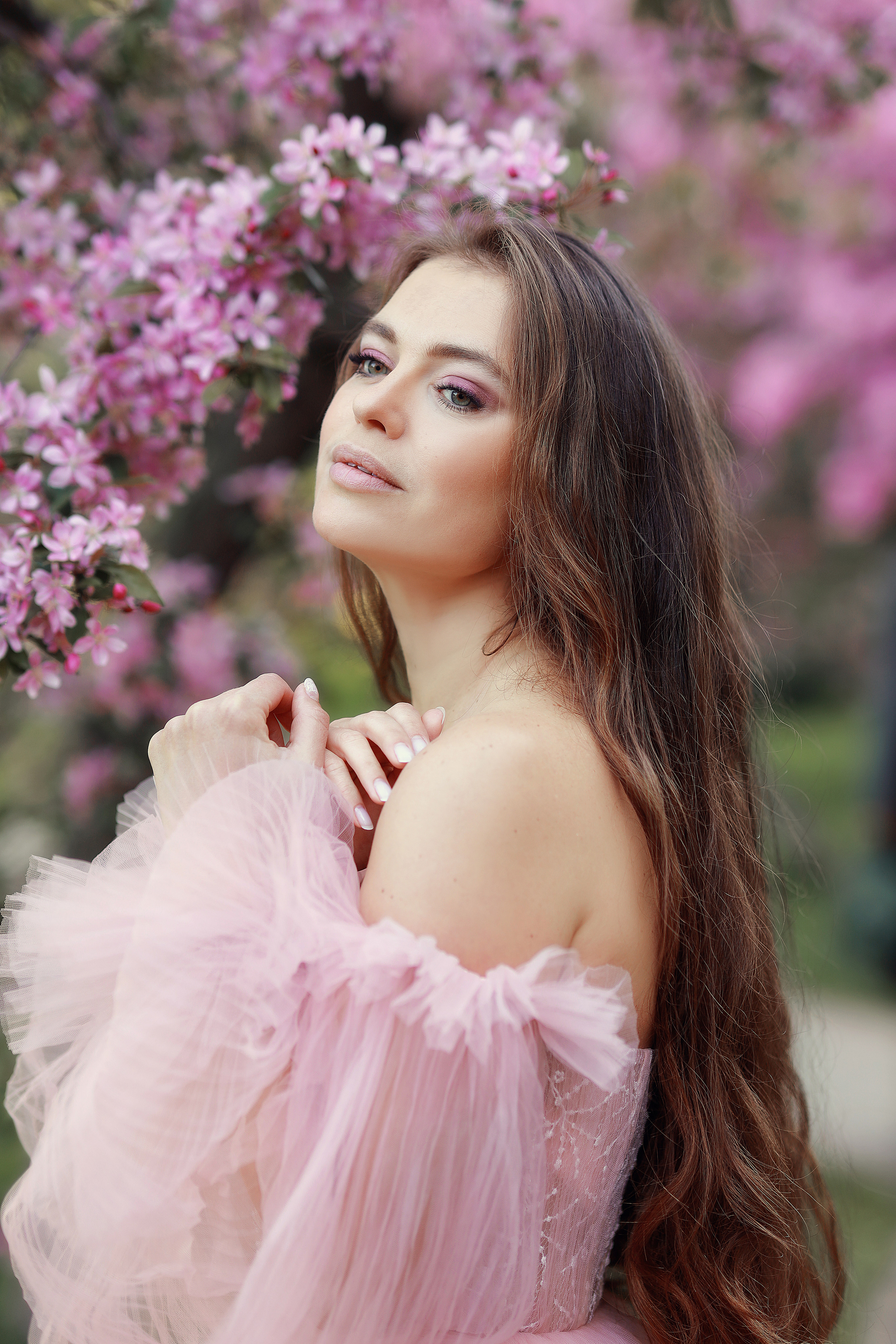 розовые яблони