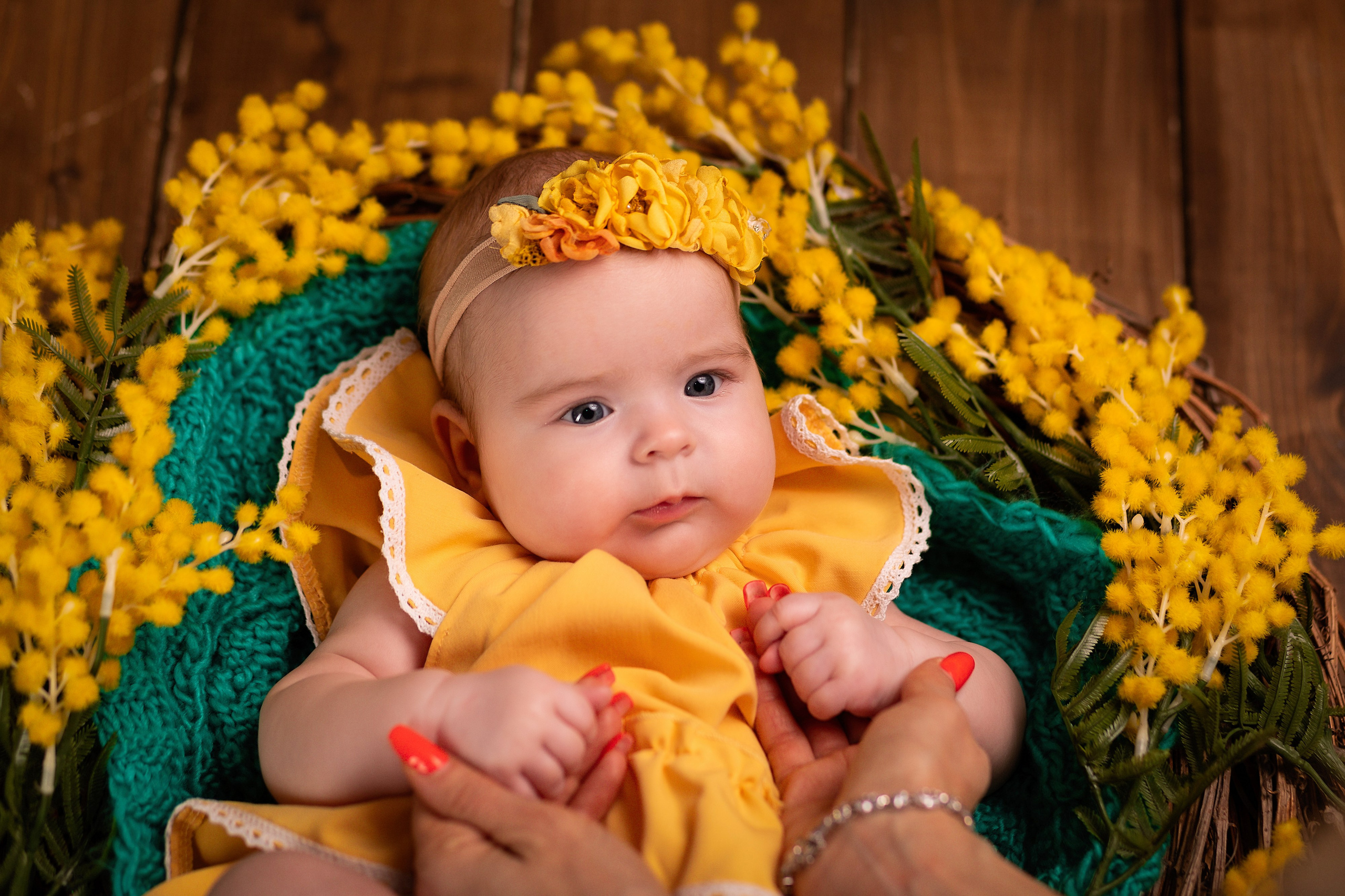 Весенний фотопроект с тюльпанами и мимозой. ФОТОГРАФ НА ГОДИК, БЕРЕМЕННОСТИ, НОВОРОЖДЕННЫХ, КРЕЩЕНИЯ МОСКВА