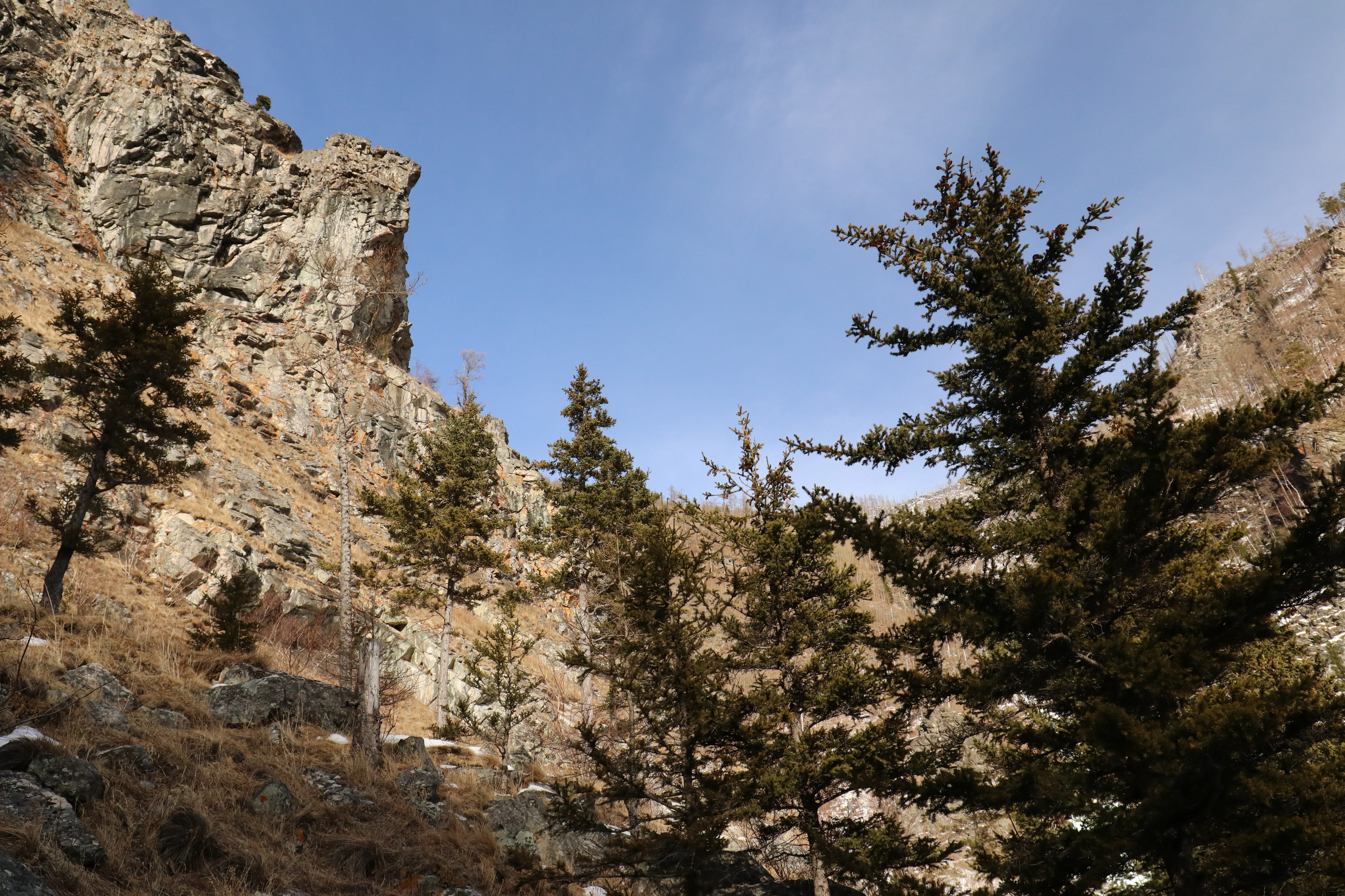 Аршан. Март 2023. Путешественник-фотограф из Санкт-Петербурга Татьяна Свистулина