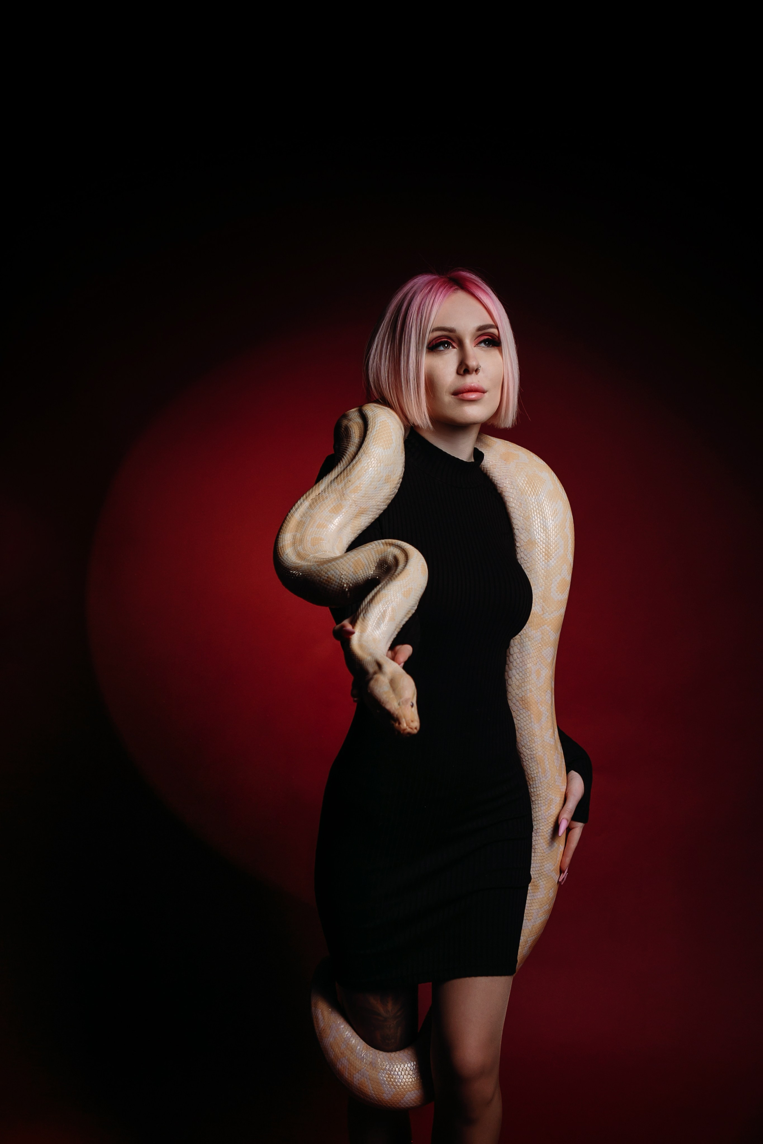 Змеи. Фотограф Новороссийск