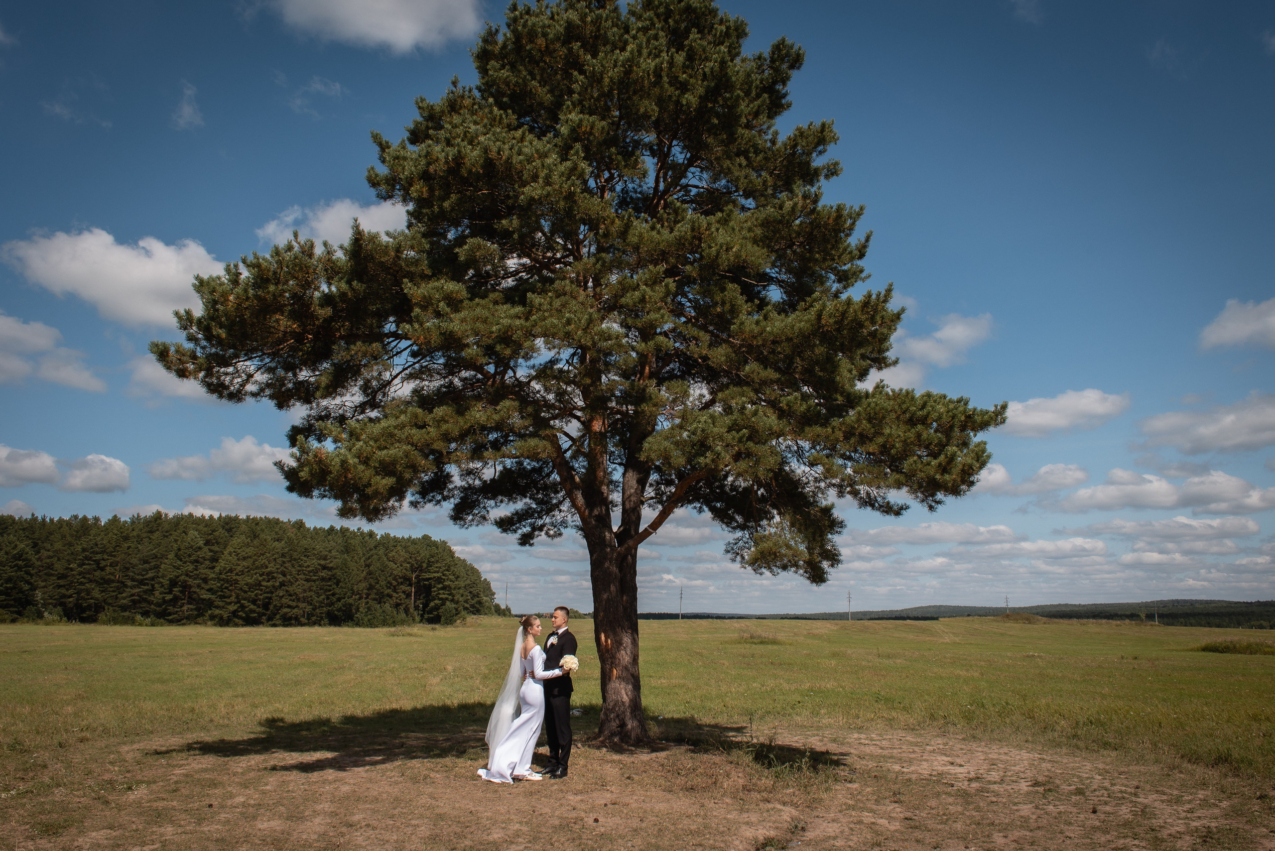 Дмитрий и Анастасия. Фотограф Татьяна Орлова