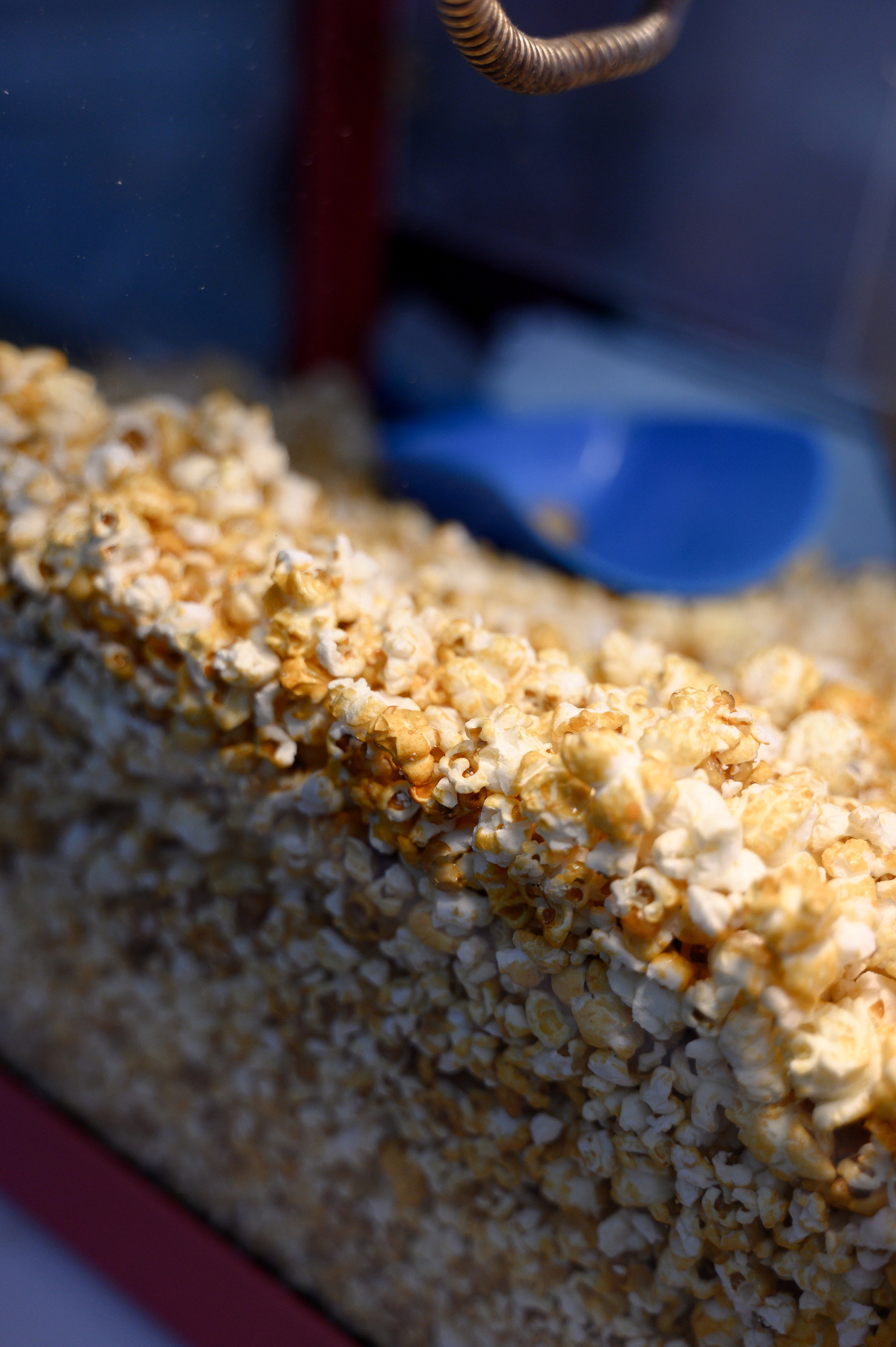 Mia's one year. Свадебный фотограф Минск