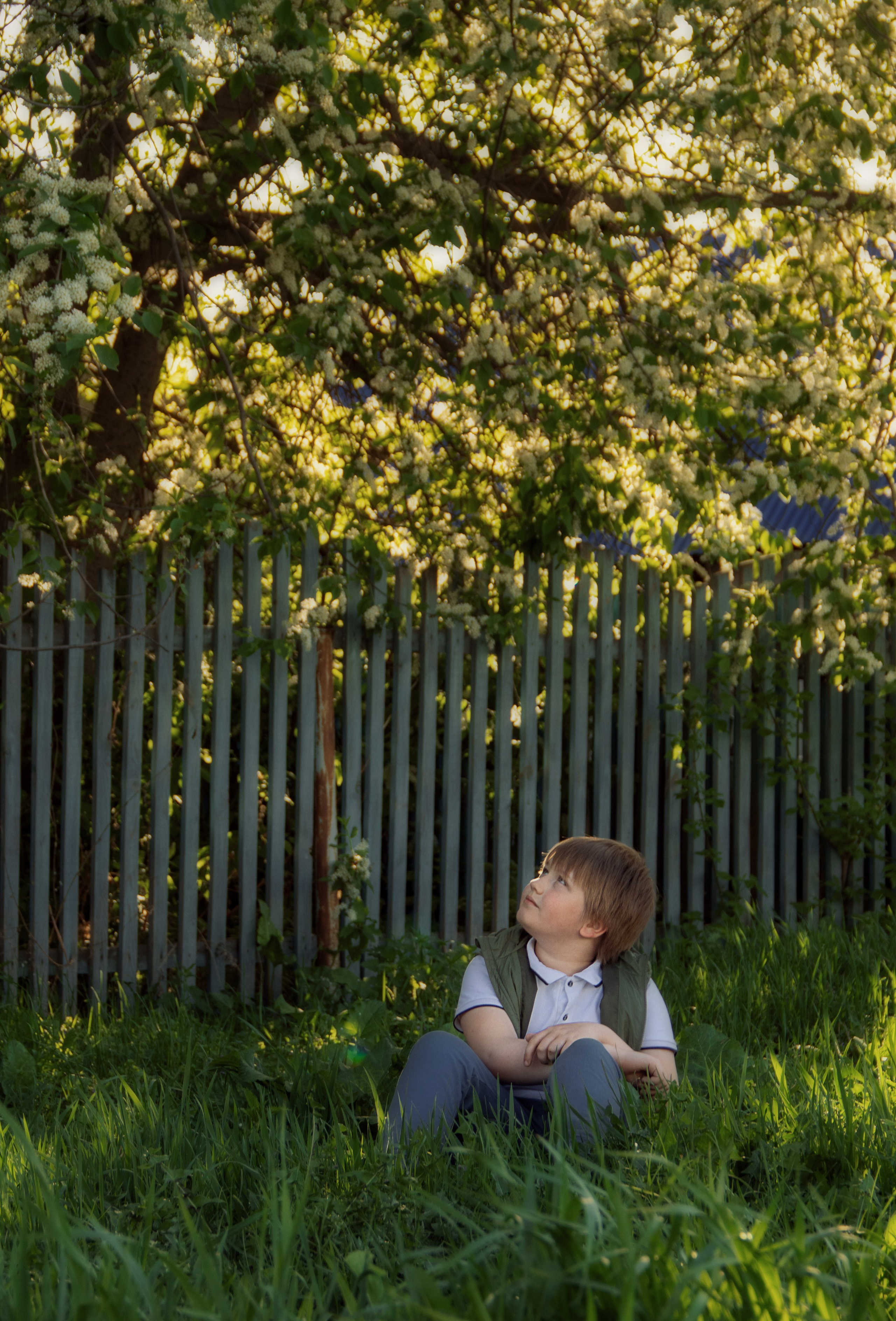 Портфолио. Семейная фотосессия в Новосибирске