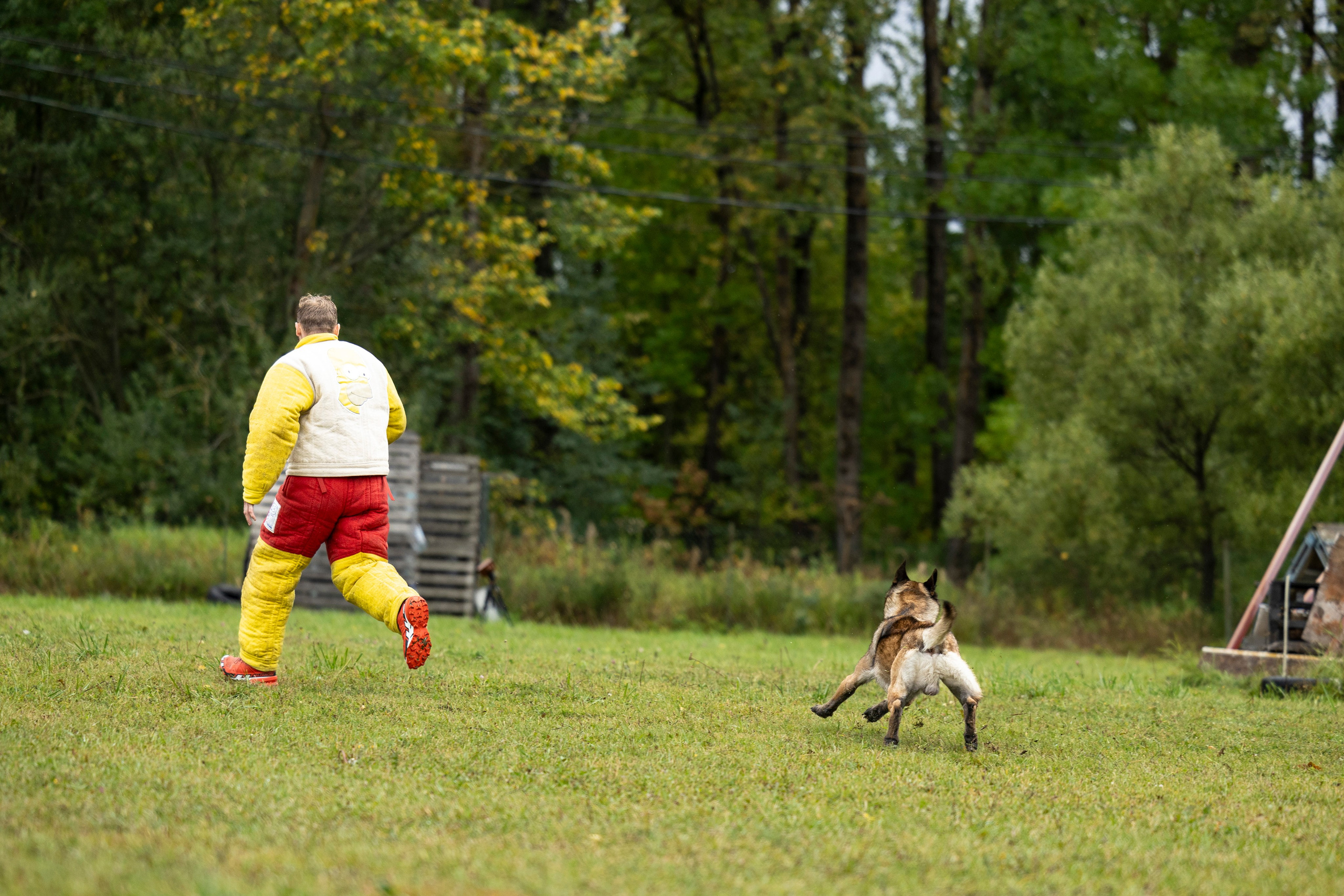 Испытания по Мондьорингу г. Пушкин. Фотограф-анималист Анна Маринич