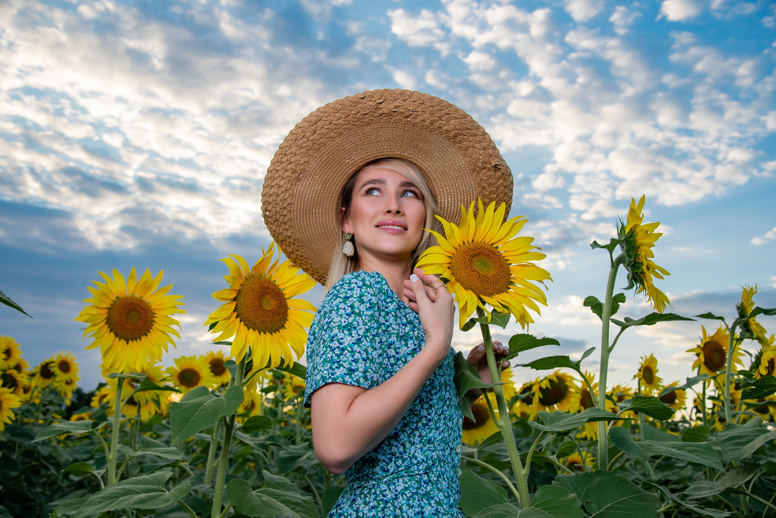 Подсолнух. Фотограф Галина Нестерова