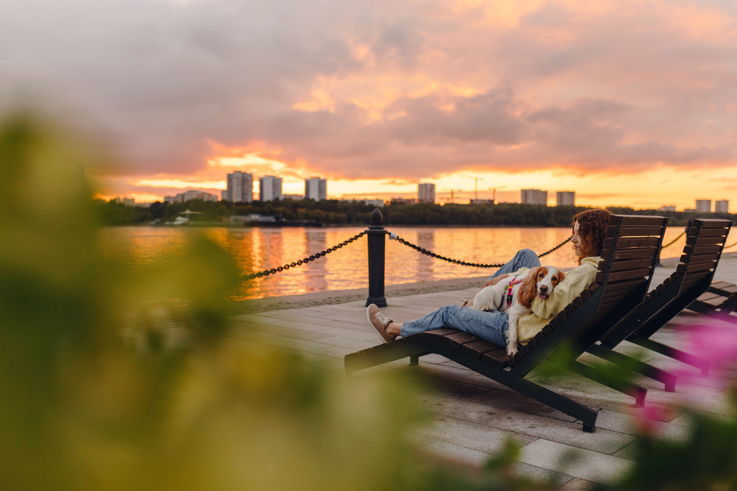 Москва / Мария и спаниель Вега. Фотограф Кузина Вера