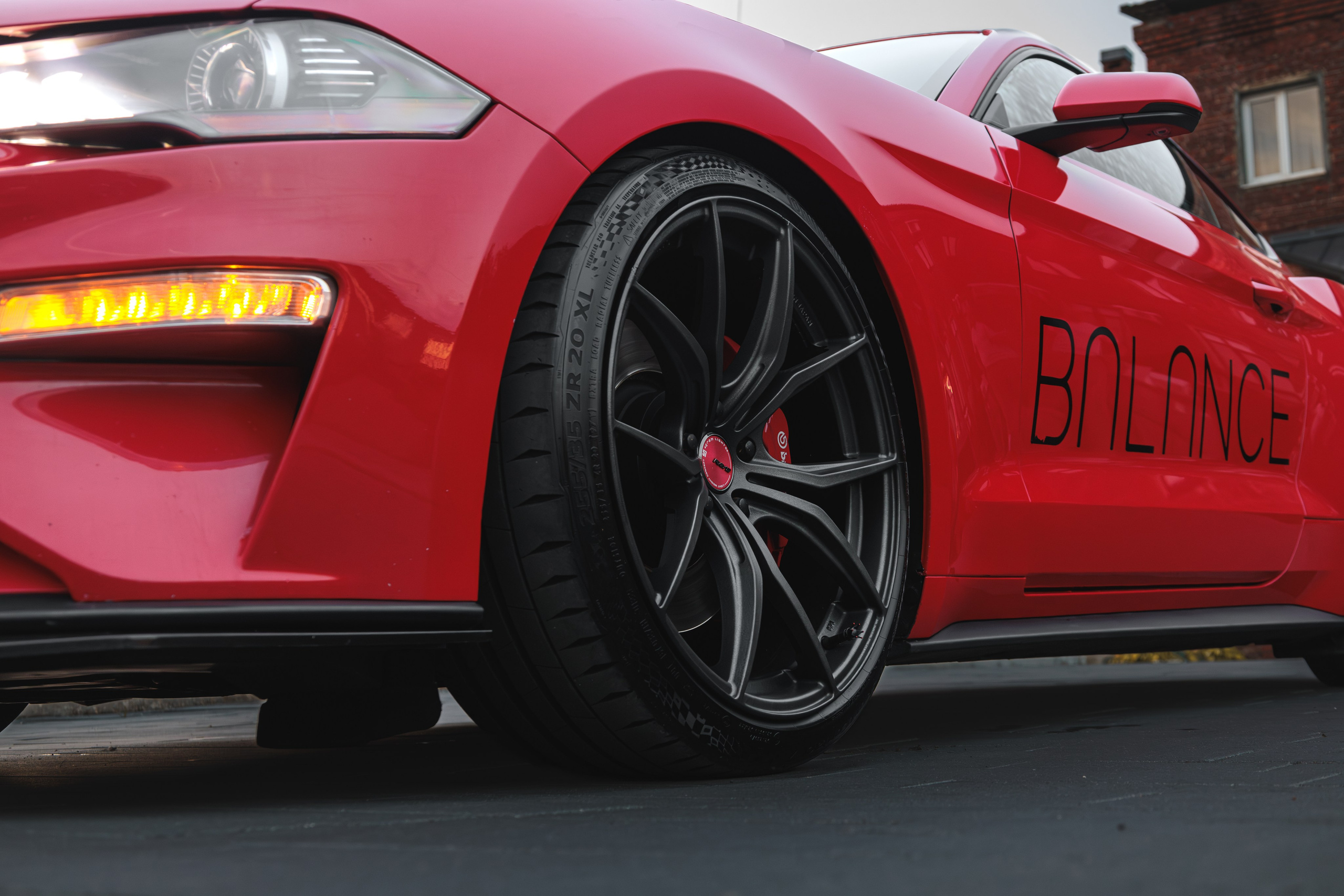 Mustang. Мелехов Дмитрий|Фотограф|Видеограф