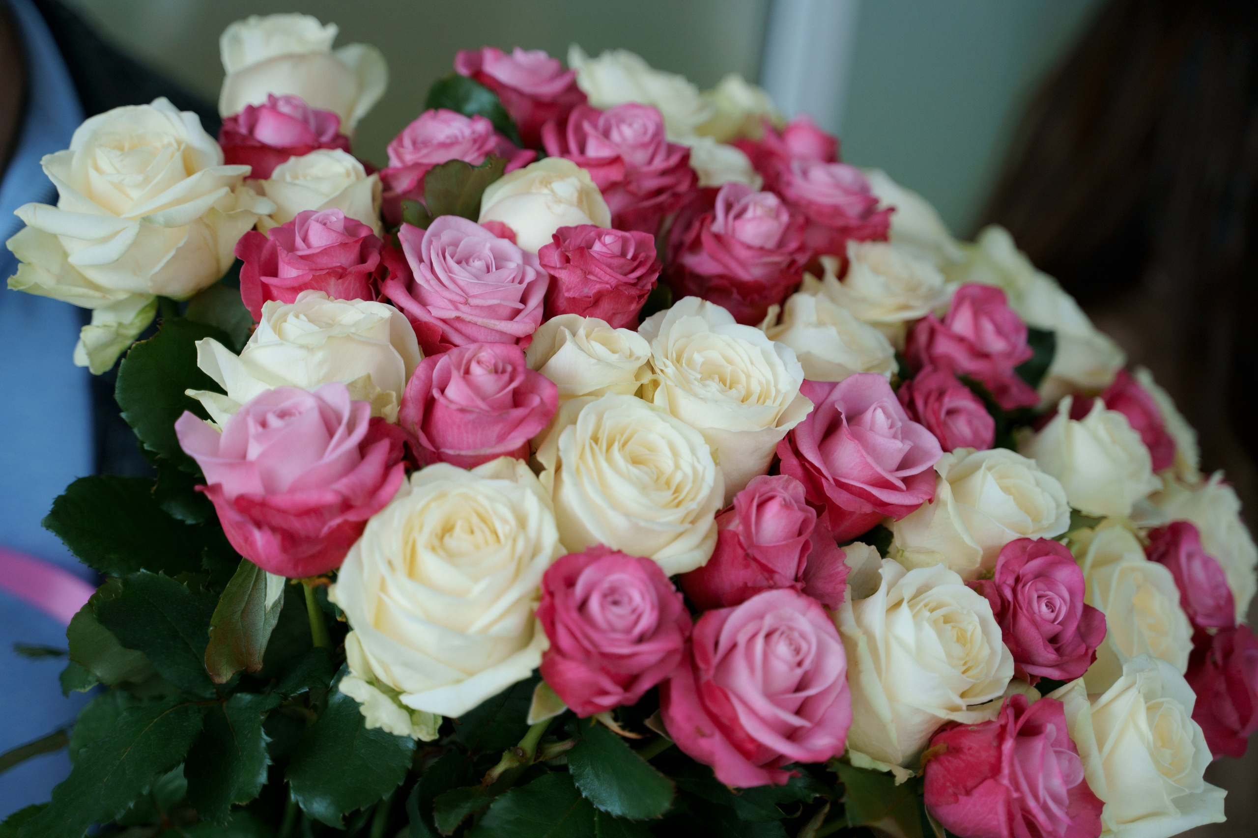 Выписки и Крестины. Главная