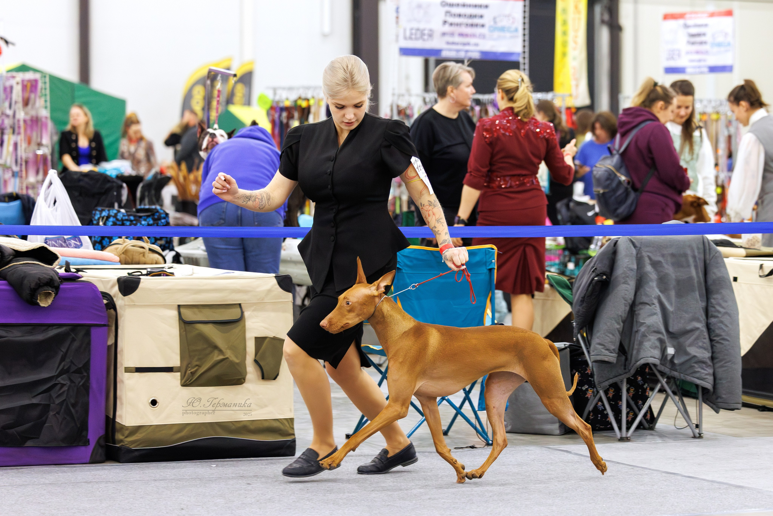 Питер 12-13.12.2025. Фотограф-анималист Юлия Германика