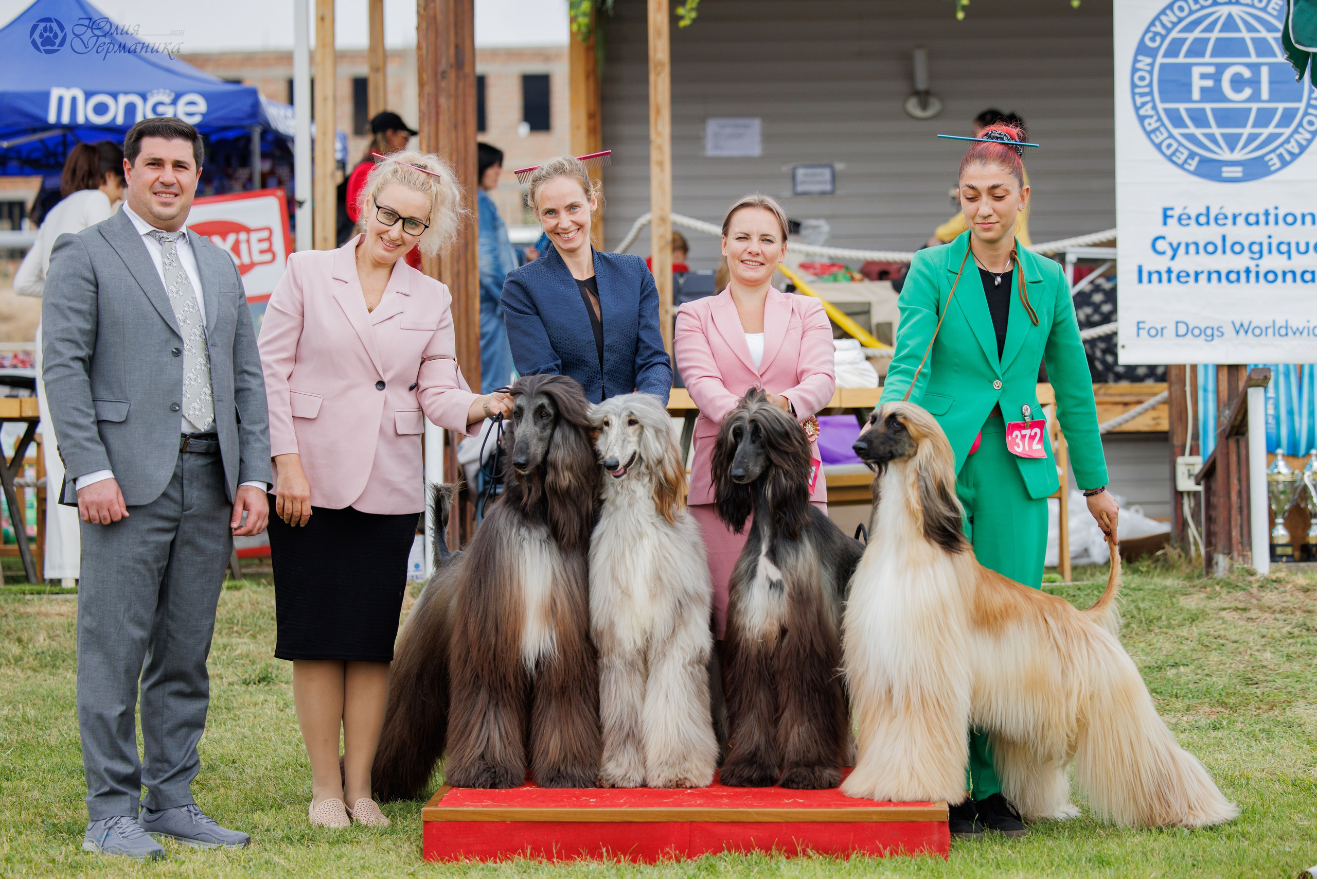 Армения,Ереван 3хCACIB 15-17.10.2024. Фотограф-анималист Юлия Германика