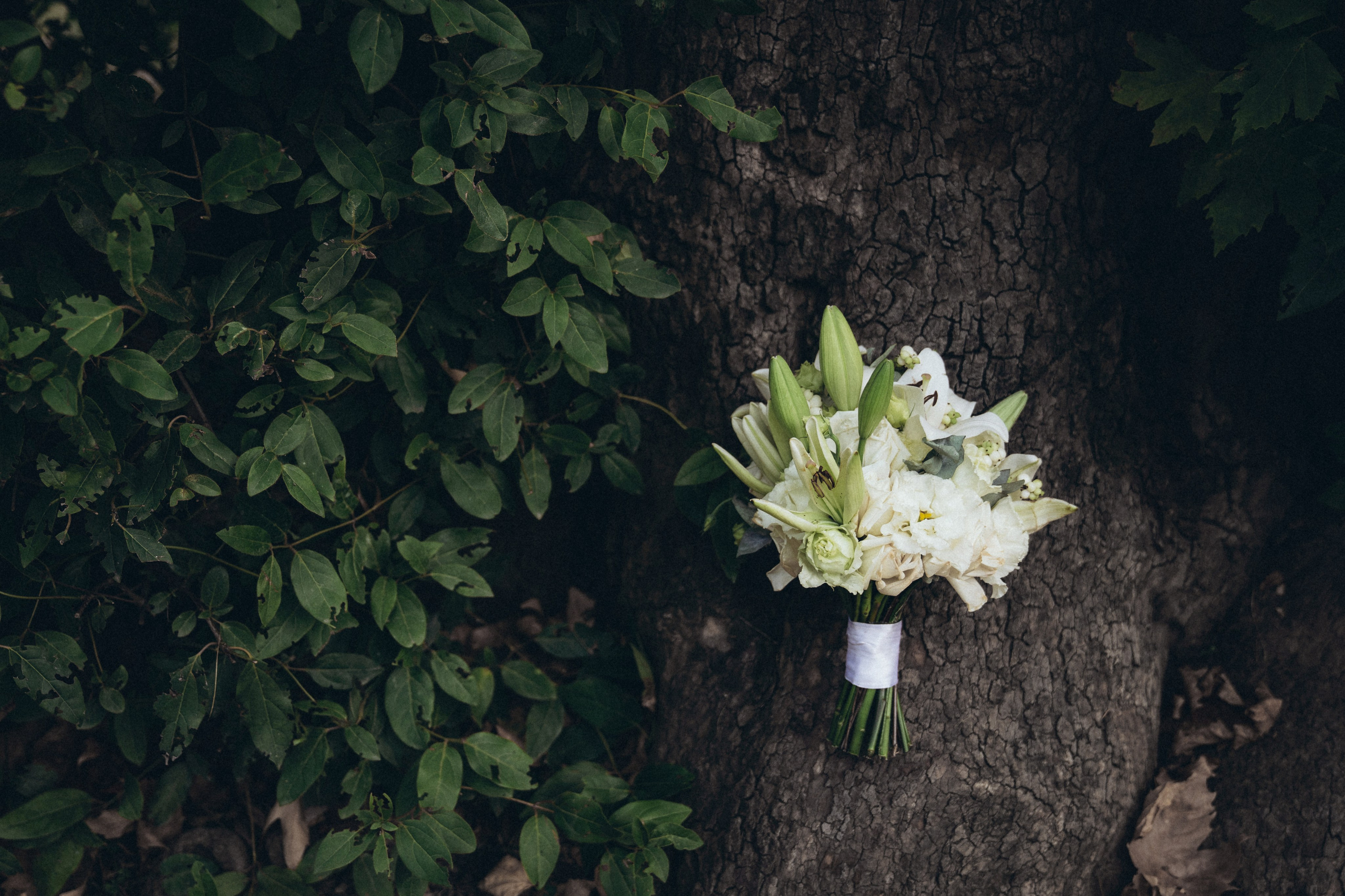 Игорь и Карина. Fotograf in Sewastopol, Krim und Moskau Gorbunov Denis