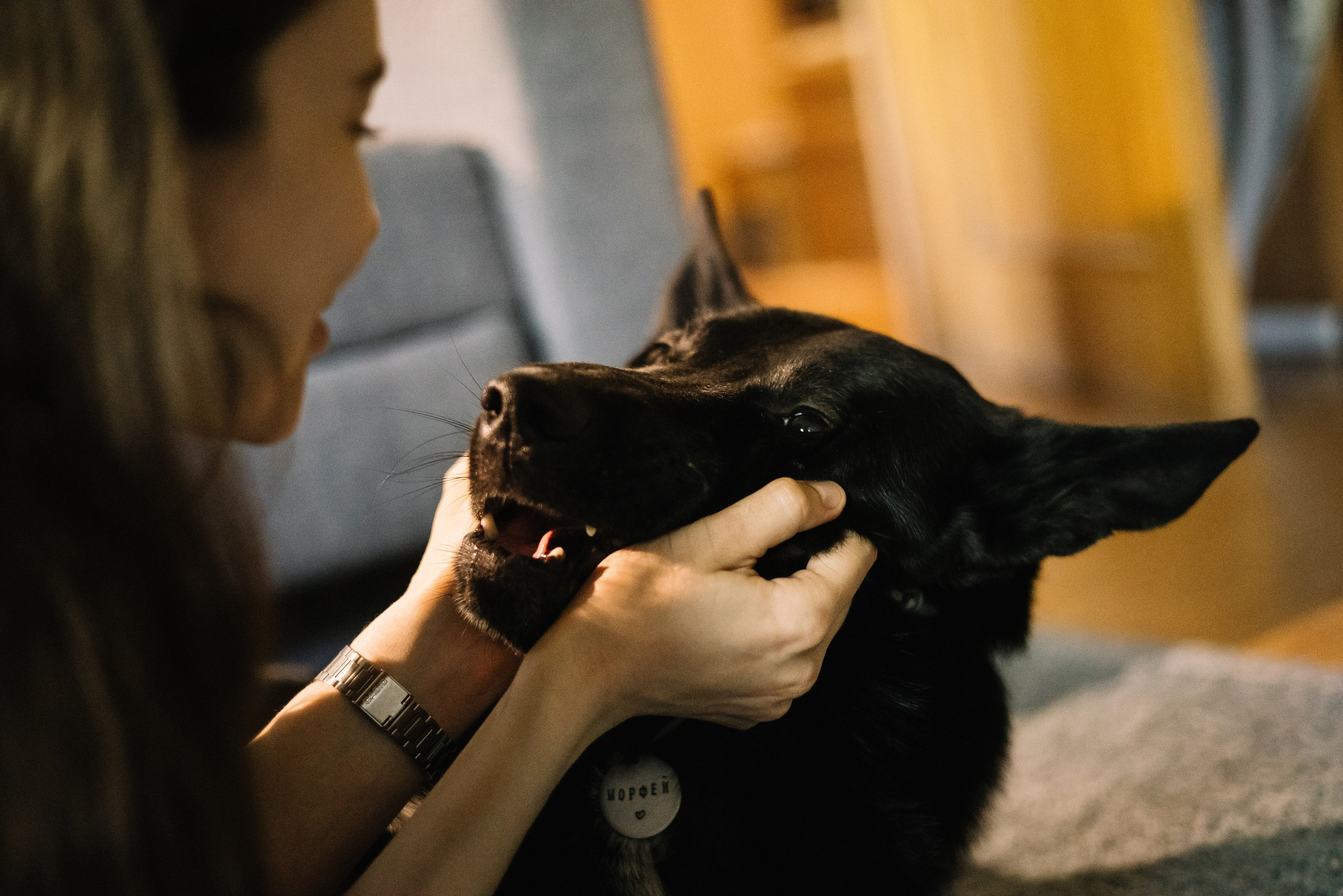 Ира и Морфей. Фотограф Анна Луценко Москва